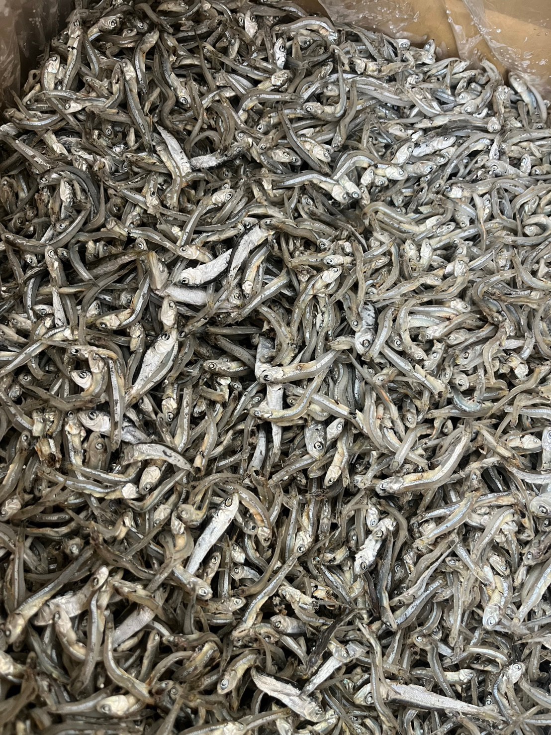 澎湖日曬小魚乾