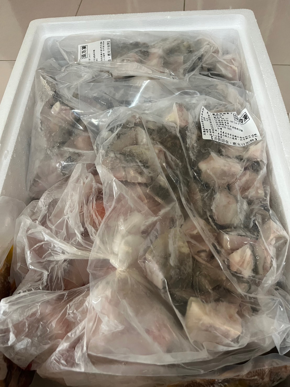 澎湖龍膽石斑魚頭丁