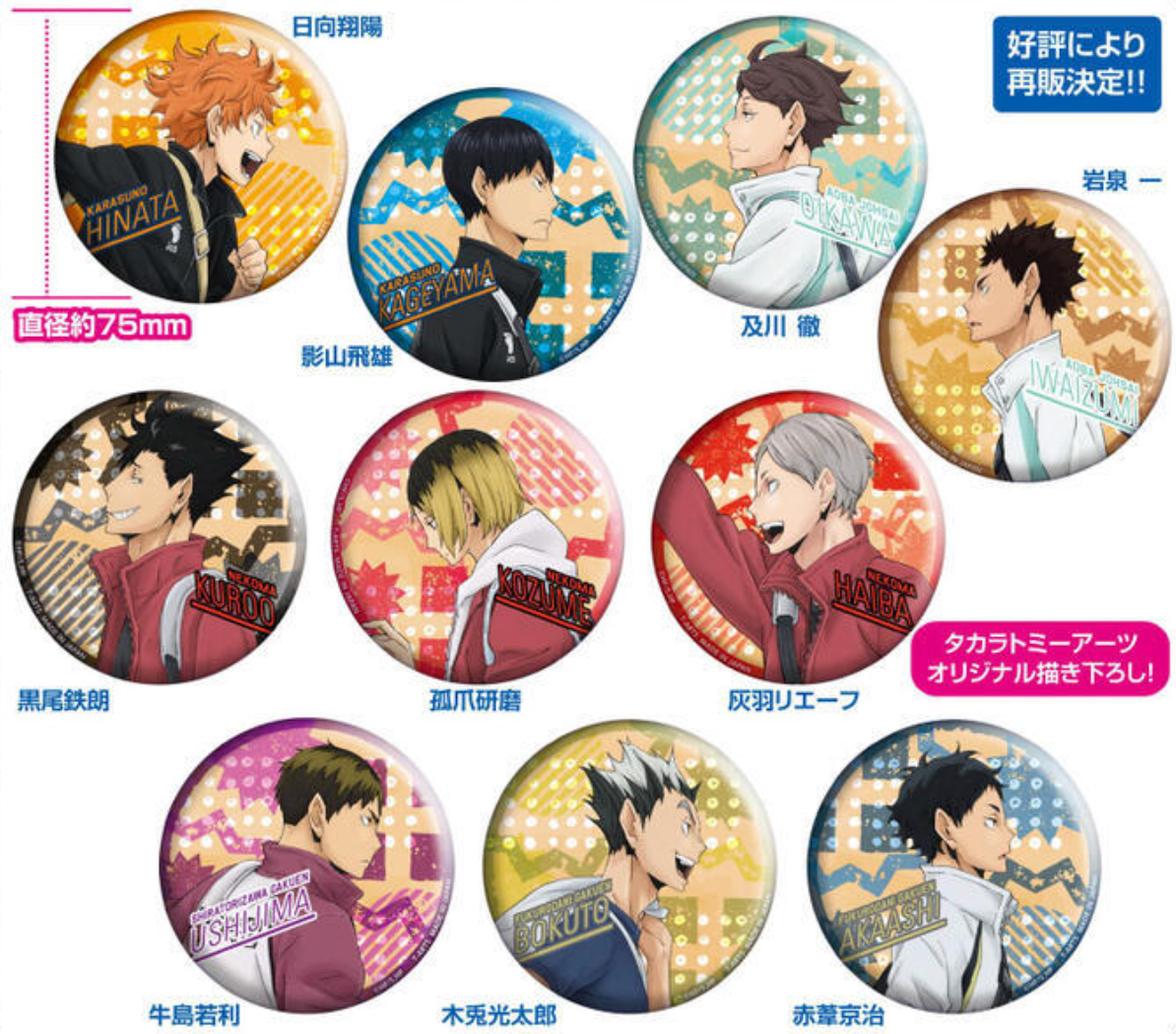 現貨 排球少年 登校系列 徽章