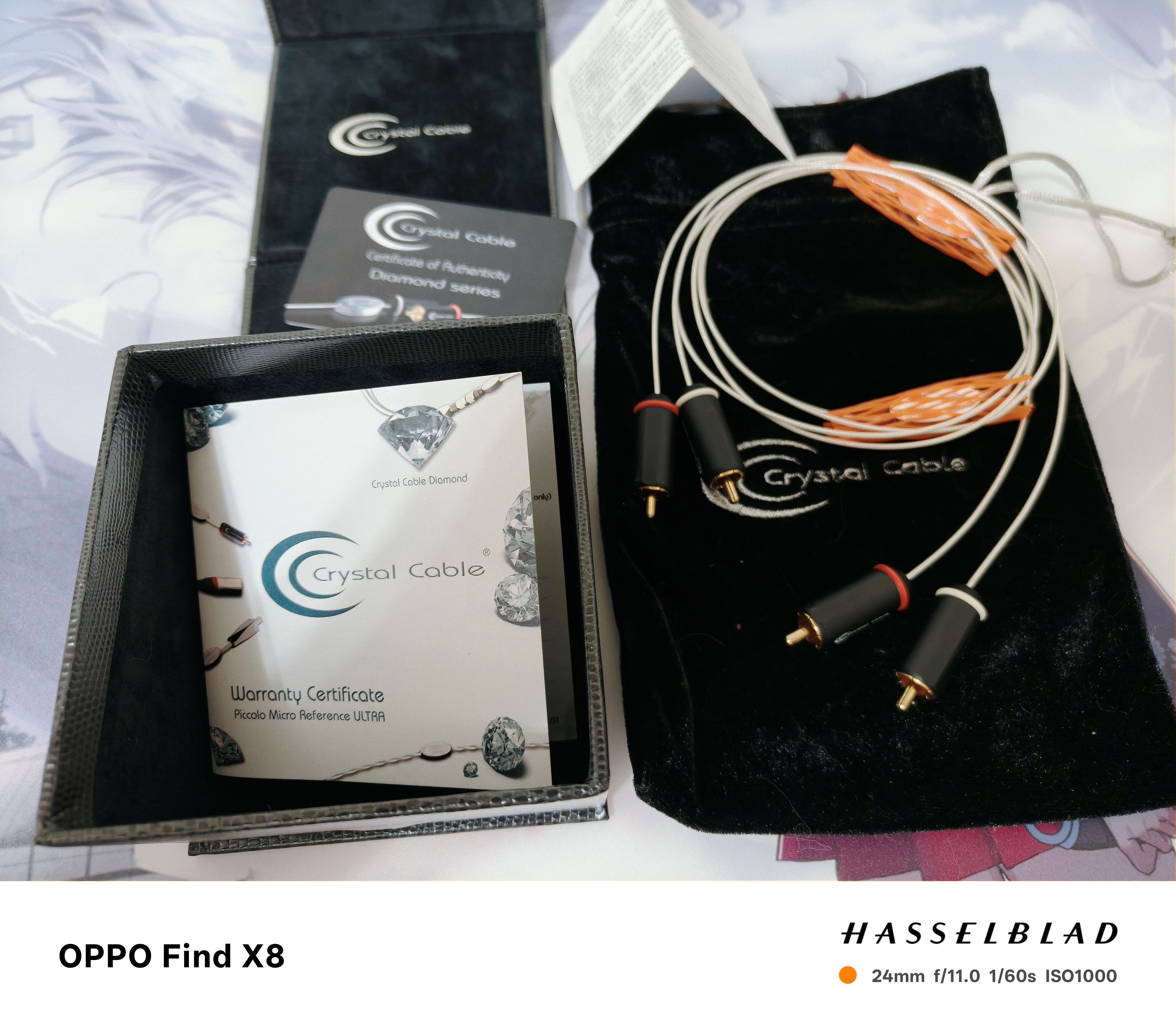 CCPD 一代 RCA 1m一對