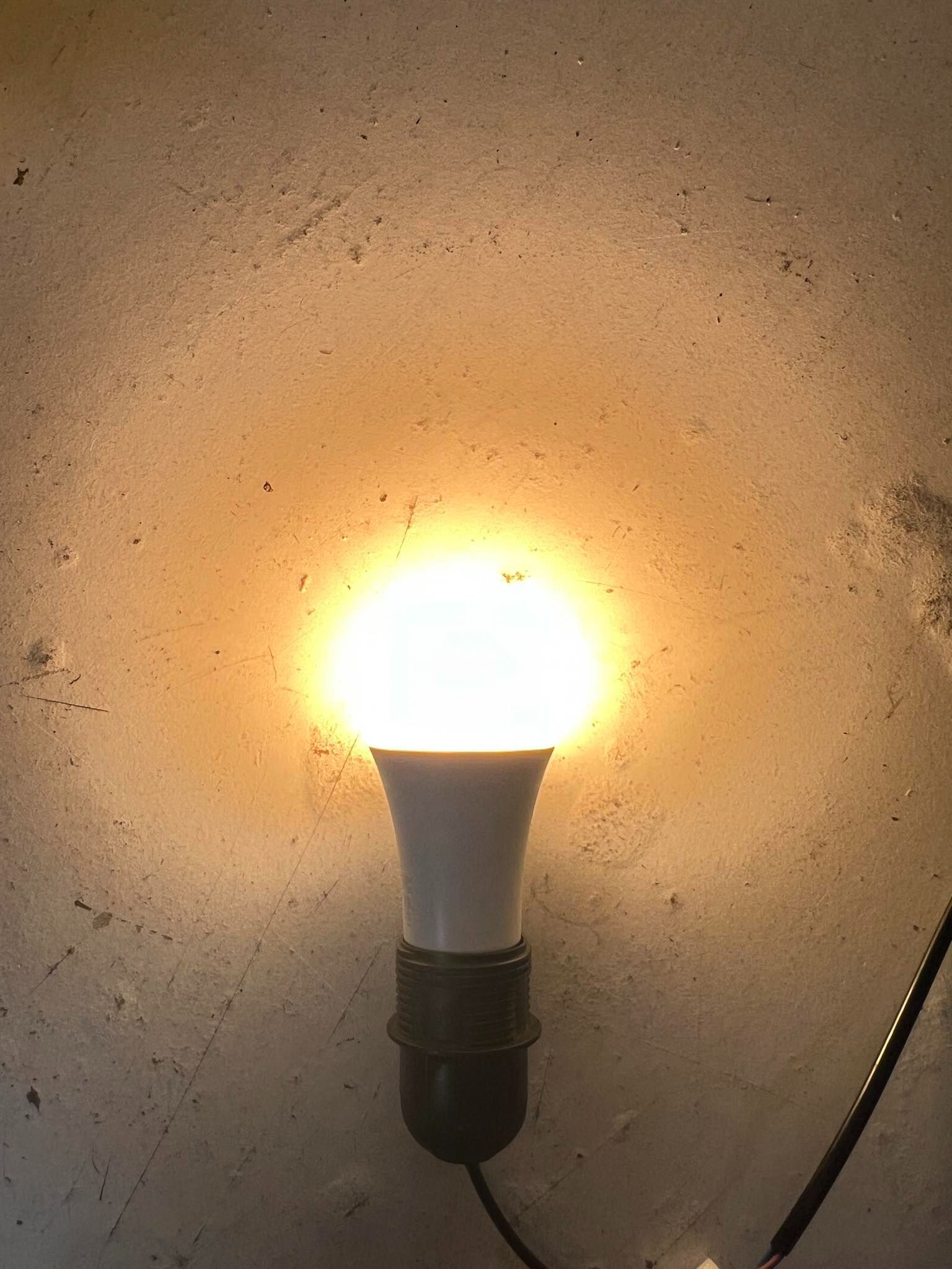 9W 黃光  LED燈泡20元