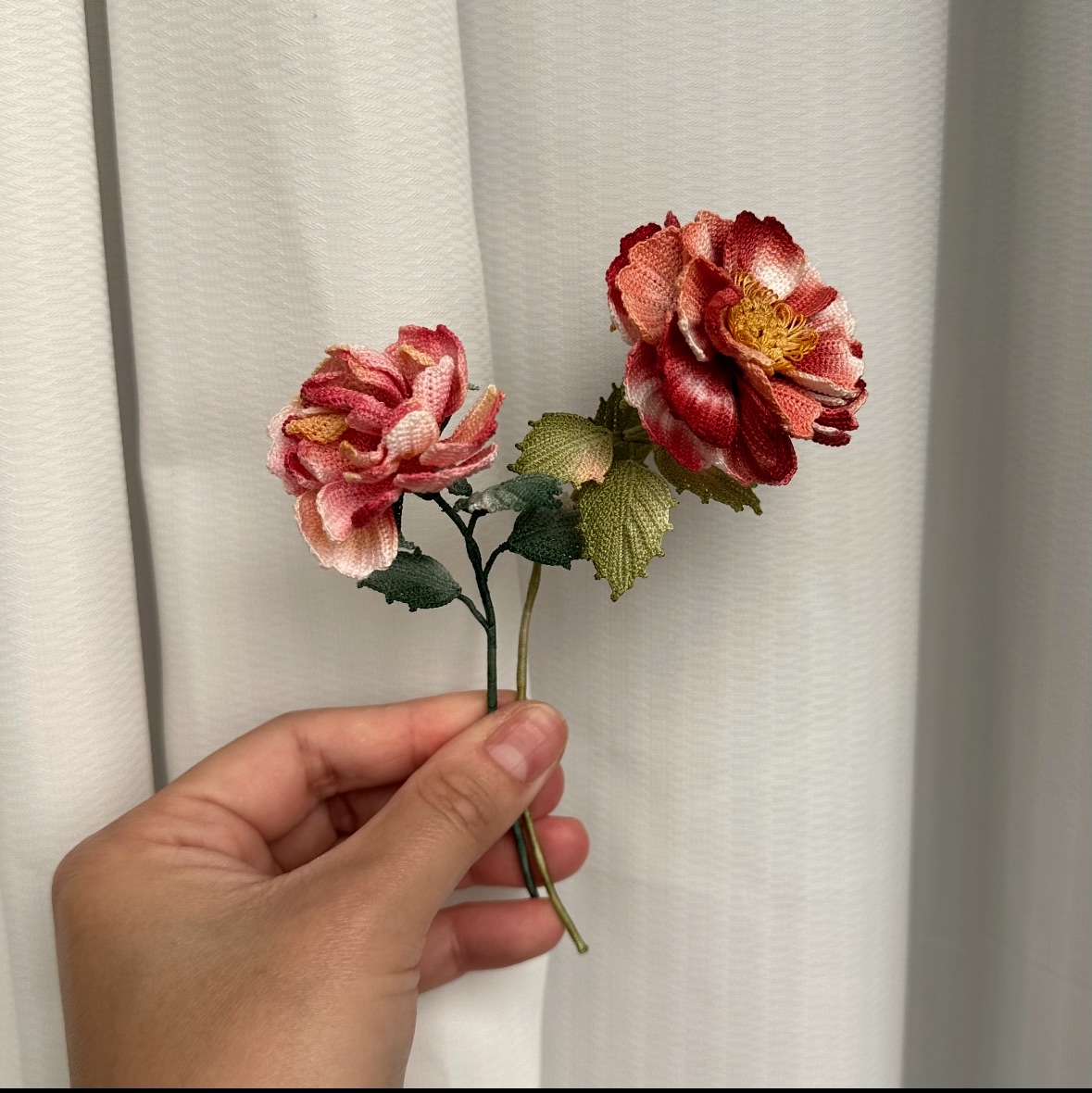 擺飾 達芙妮玫瑰