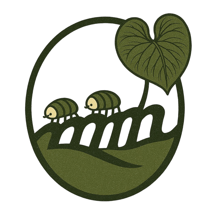 C屬-1