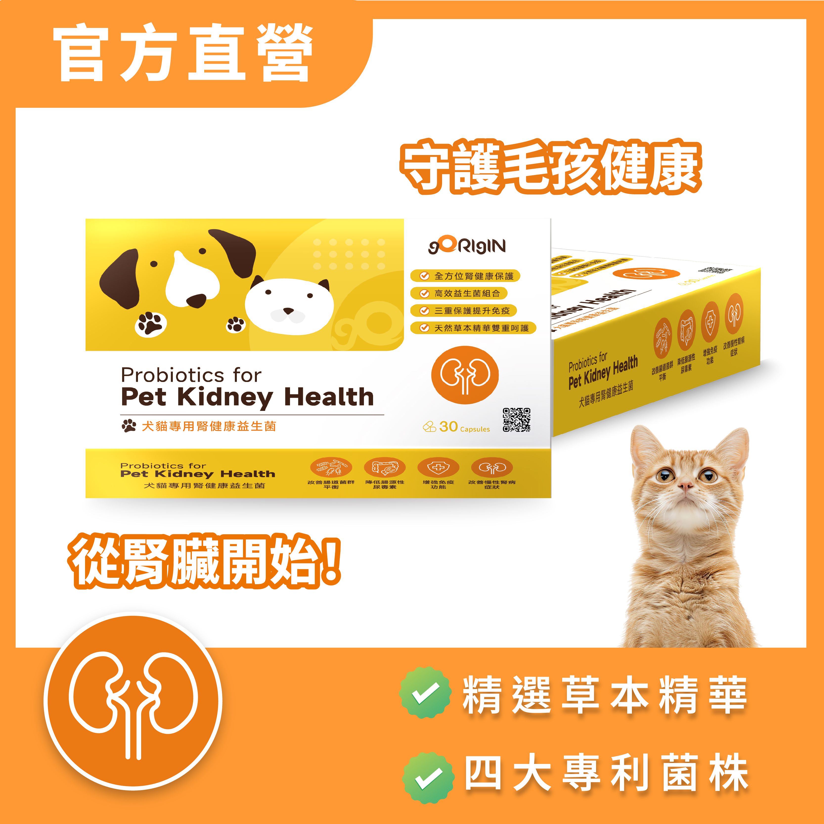 寵物腎健康益生菌