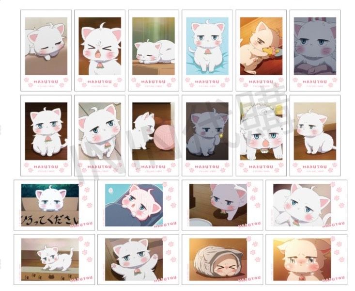 我的新上司是天然呆