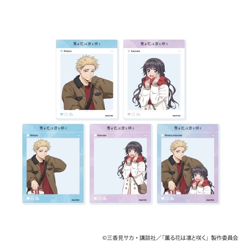 薰香花朵凜然綻放