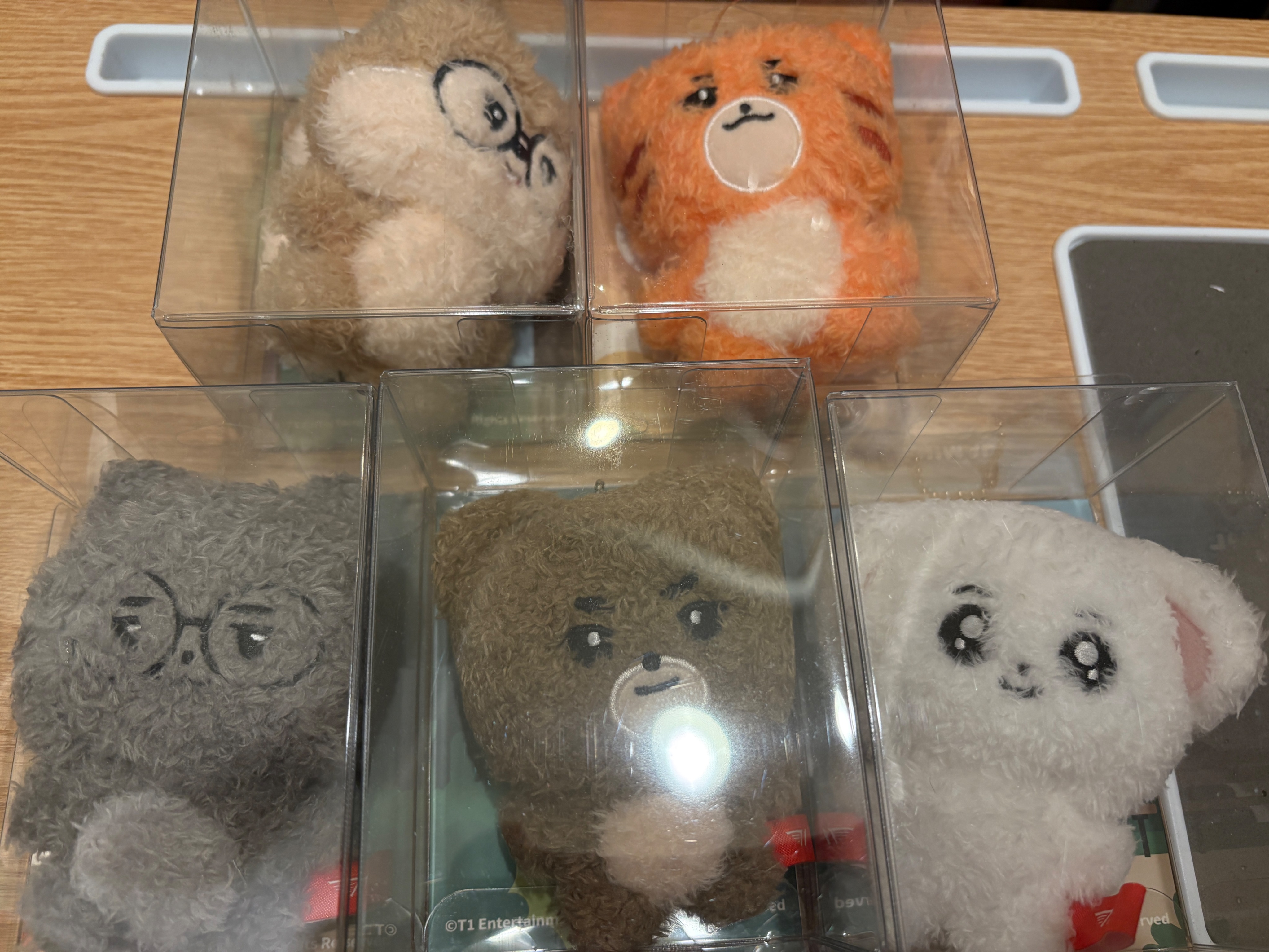 T1 動物朋友 DOFGK 五隻合售