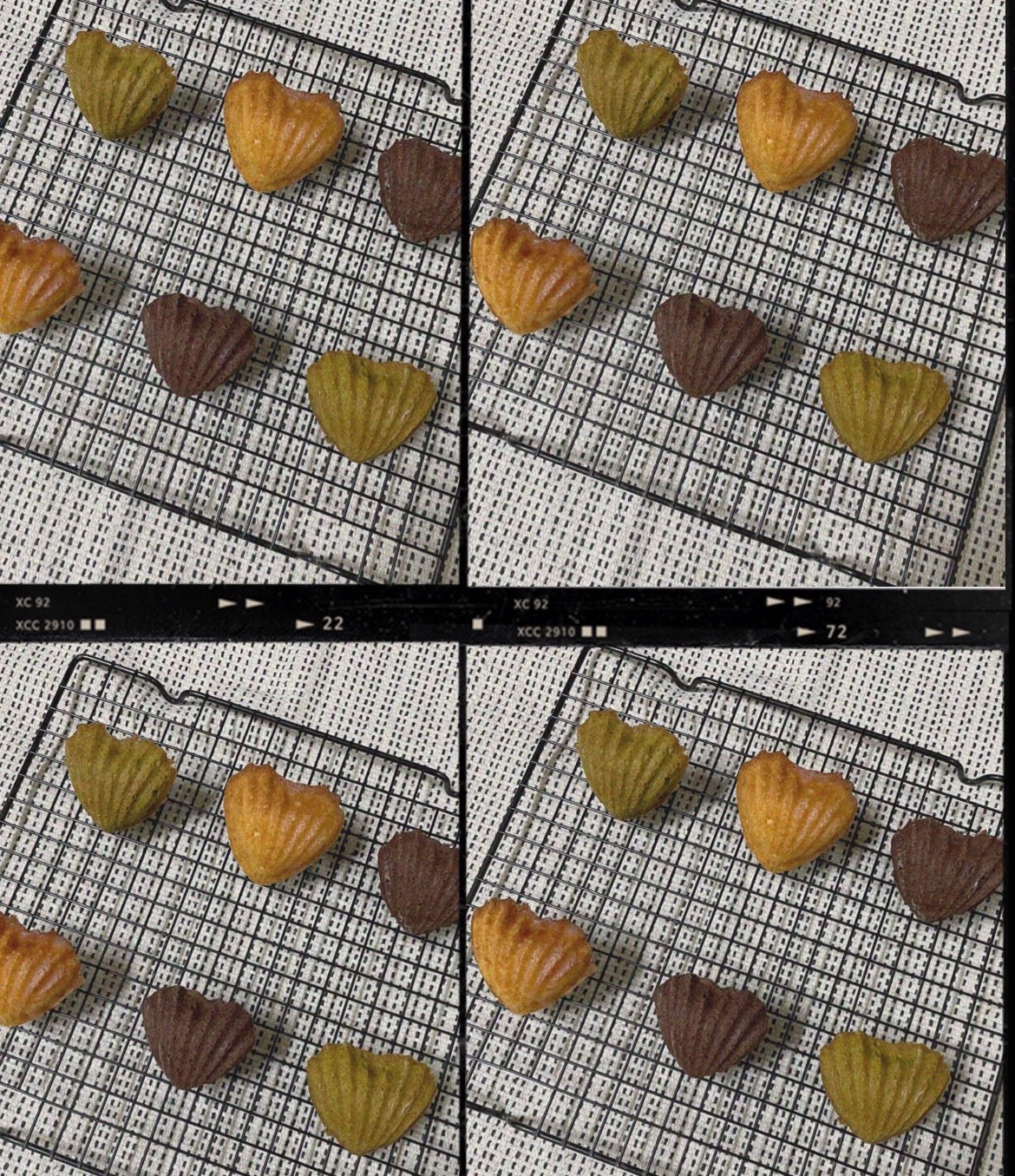 原味糖霜瑪德蓮