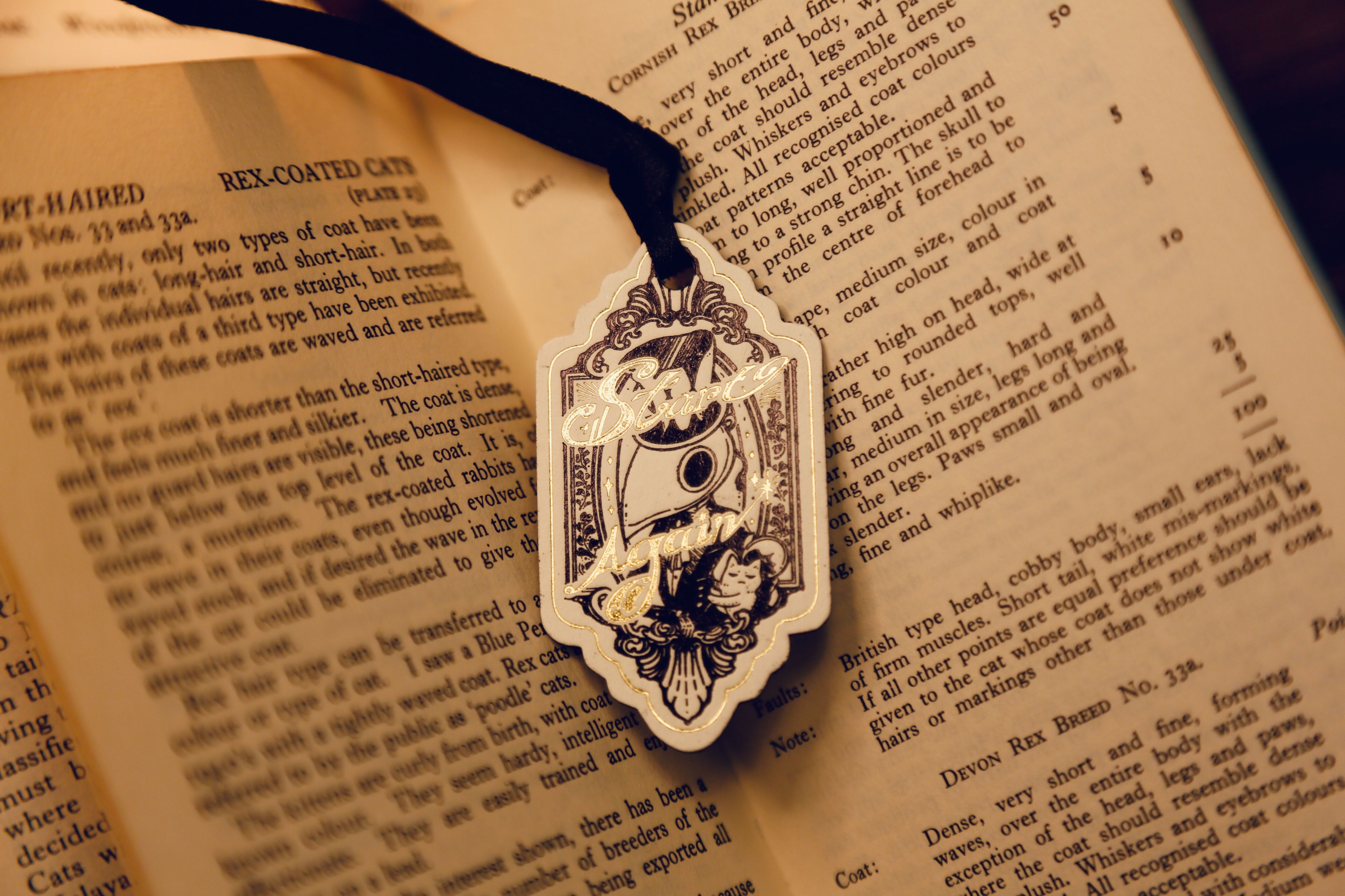 凸板印刷燙金軟磁鐵書籤