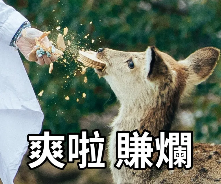 手續費記得下單啊！