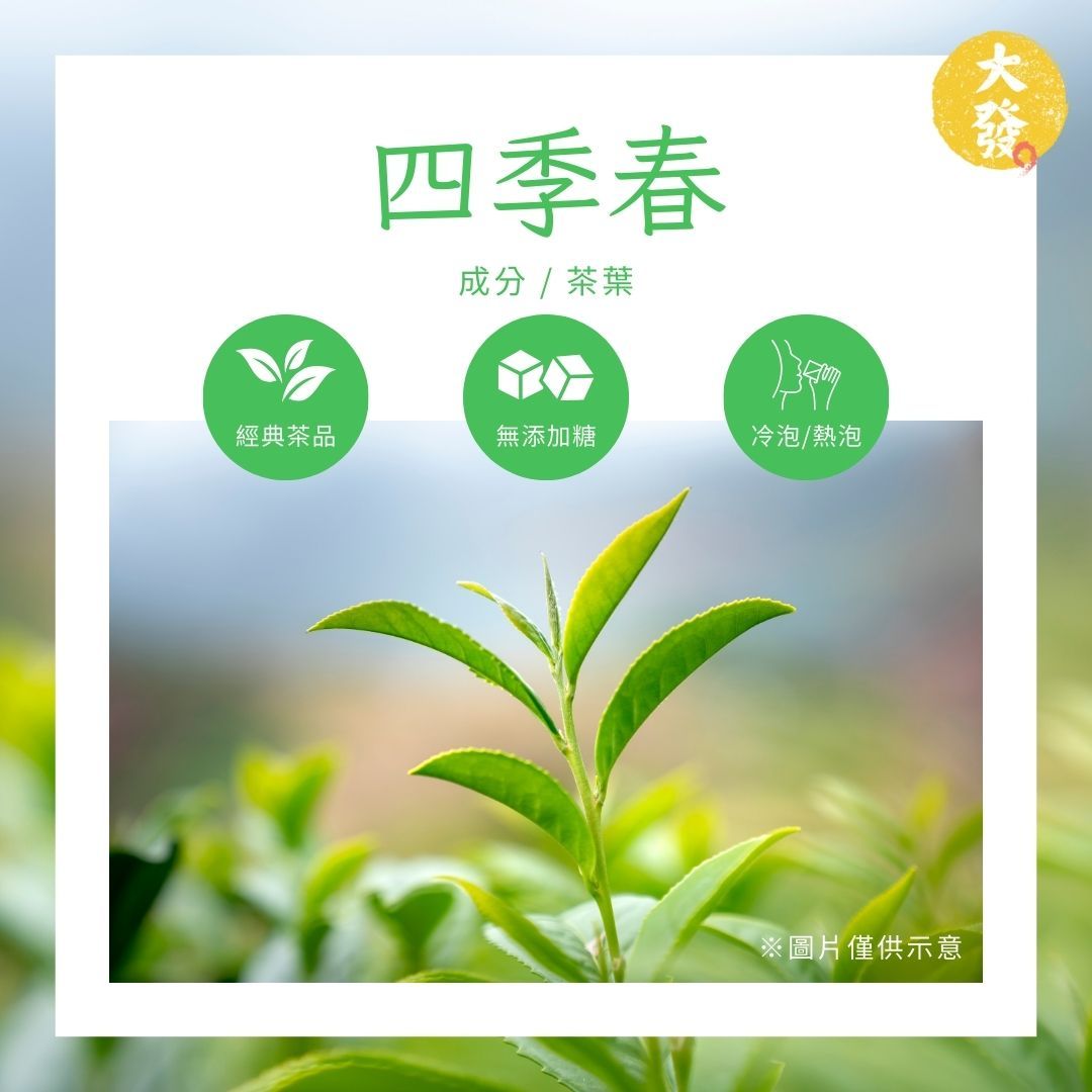 四季春｜百搭萬用 冷熱飲皆回甘