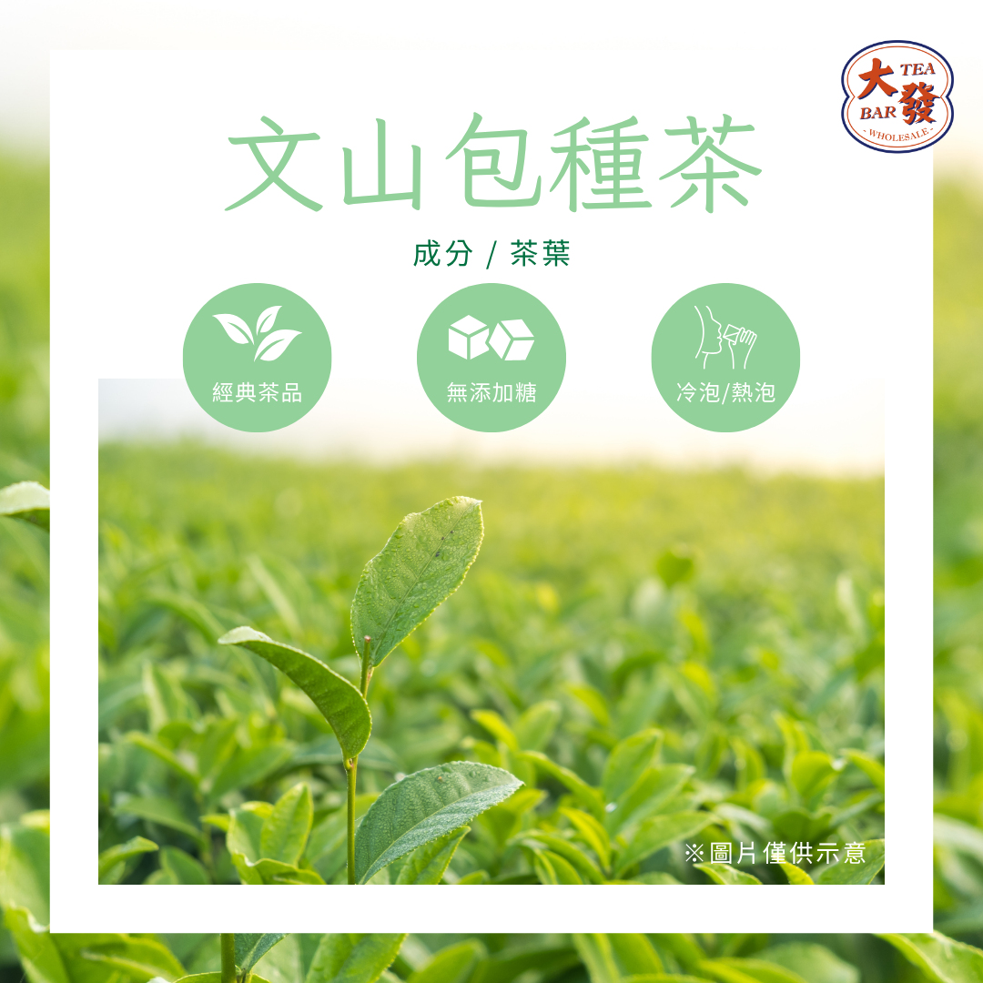 文山包種茶（15入/袋）