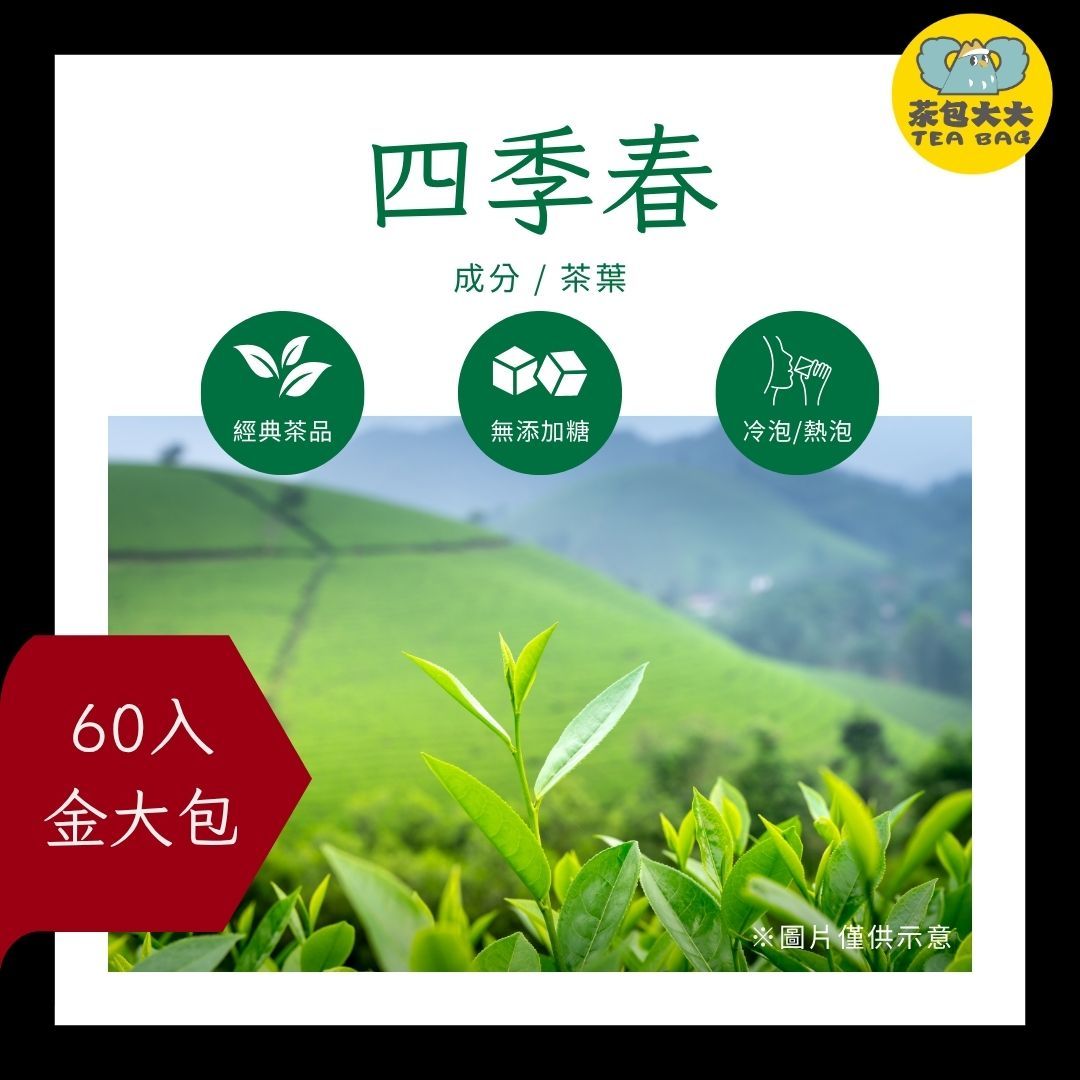 四季春金大包（60入/袋）｜茶香清新自然｜純茶 三角立體茶包 冷泡熱泡皆可 下午茶 飲料 台灣現貨 每天出貨 SGS檢驗