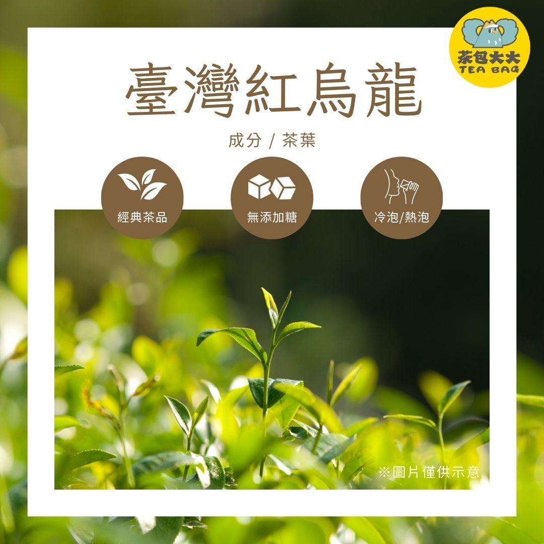 台灣紅烏龍（12入/袋）三角立體茶包 冷泡茶 熱泡茶 下午茶 台灣現貨 每天出貨