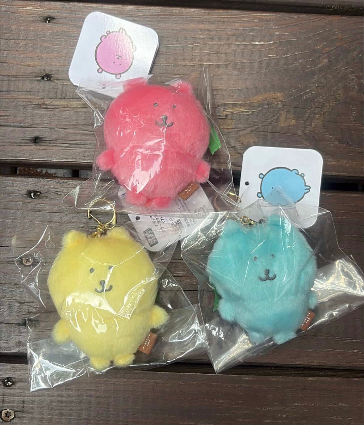 台灣限定色自嘲熊組