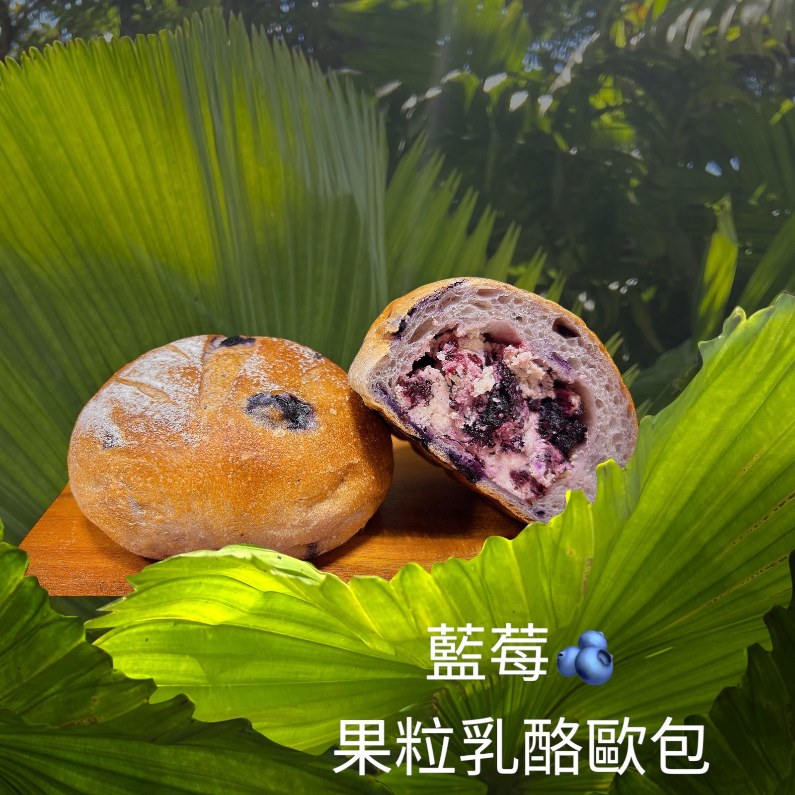 藍莓果粒乳酪歐包（蛋奶素）
