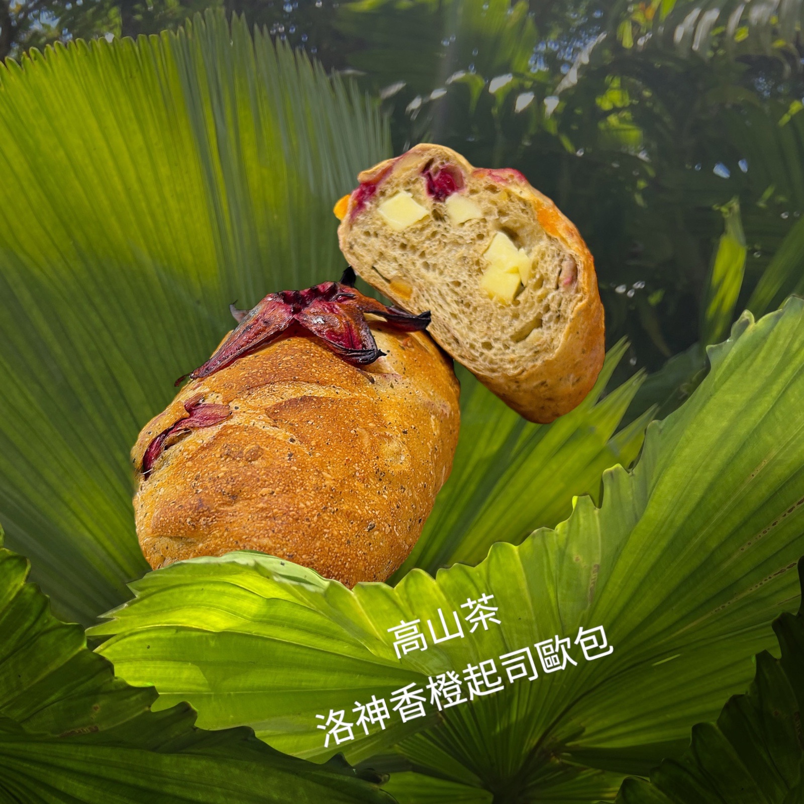 高山茶洛神香橙起司歐包