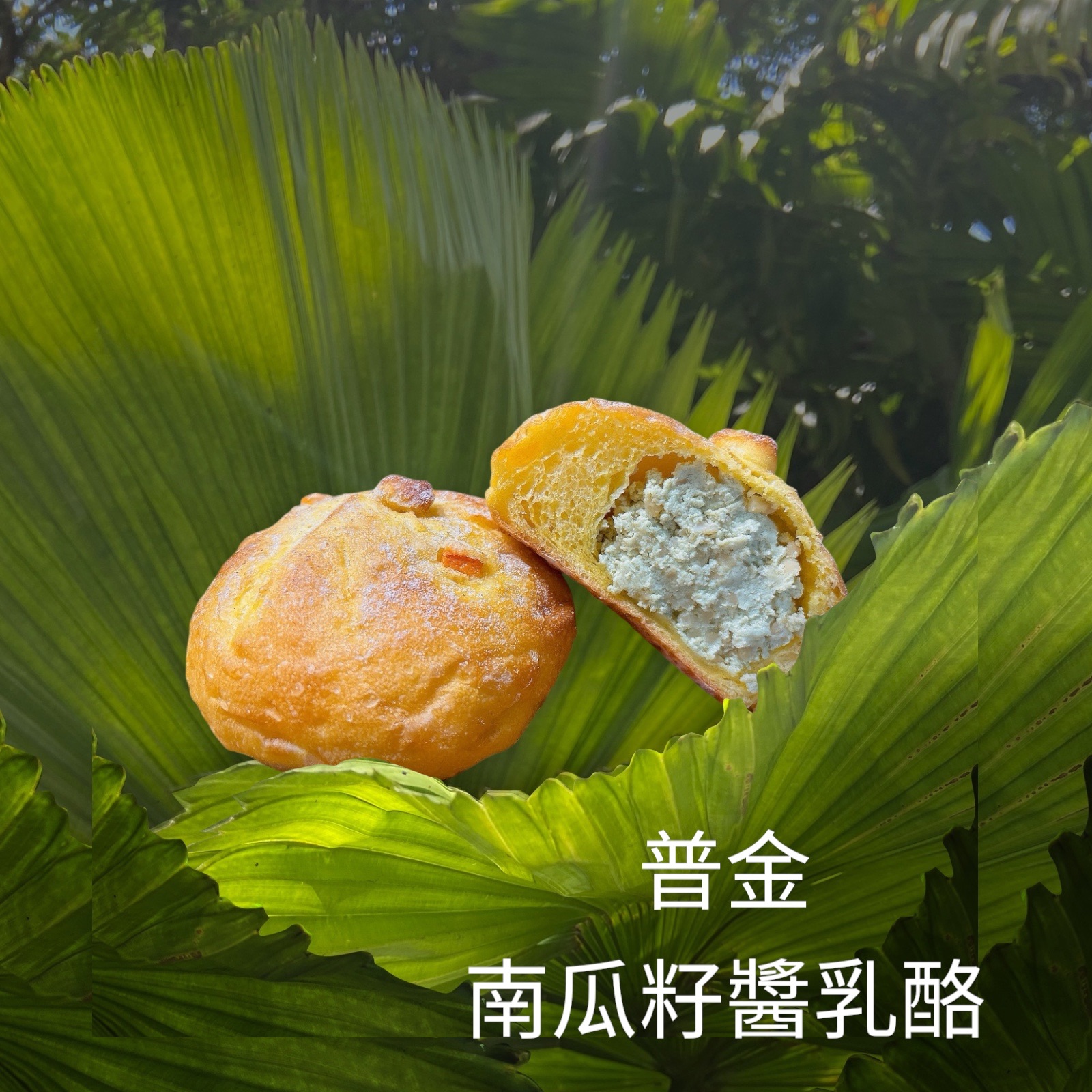 普金南瓜籽醬乳酪