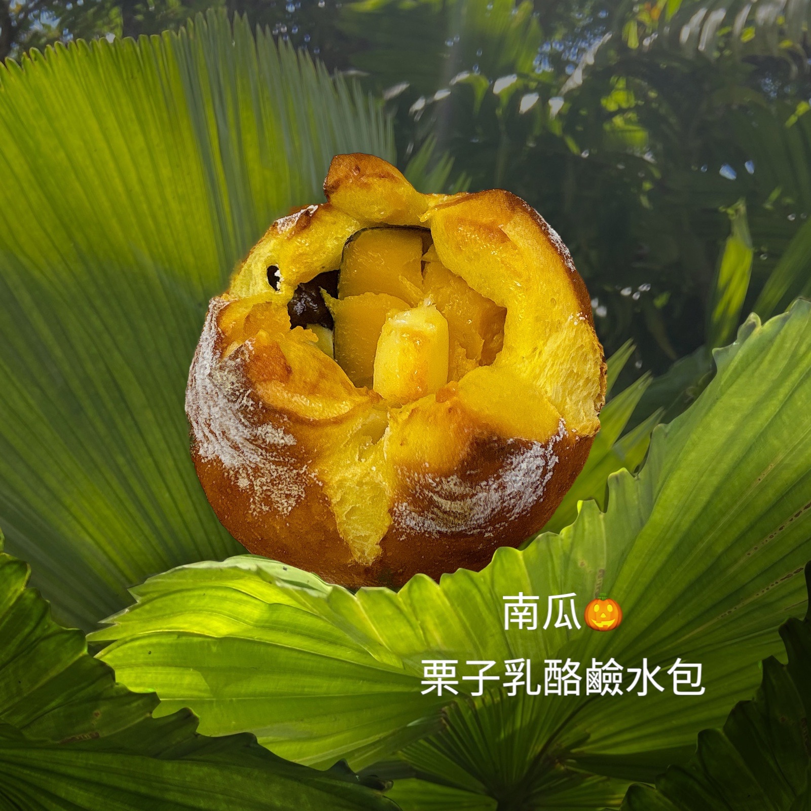 南瓜🎃栗子乳酪鹼水包（奶素）