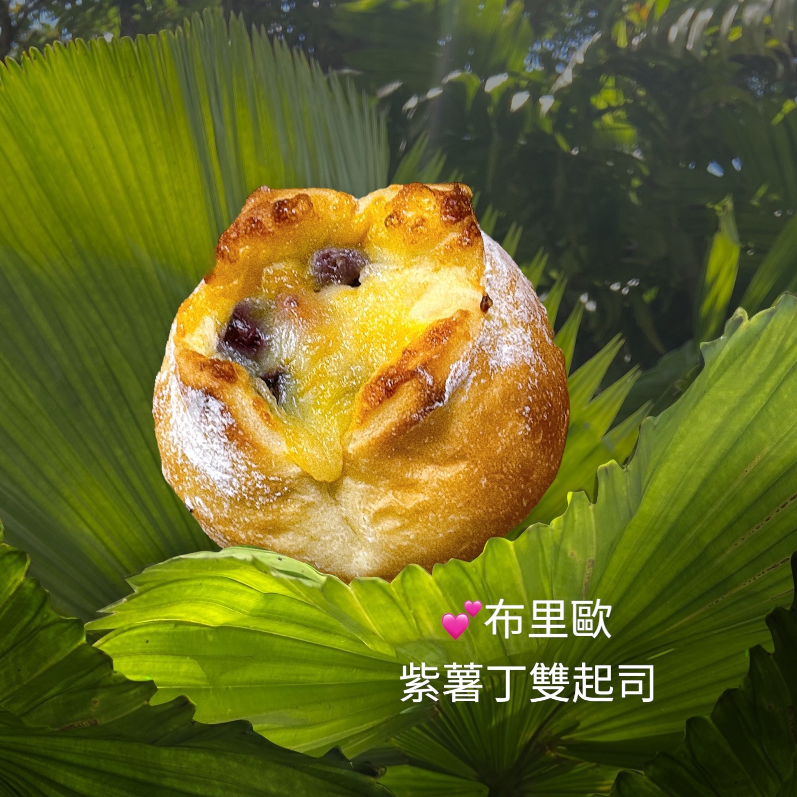 布里歐紫薯雙起司