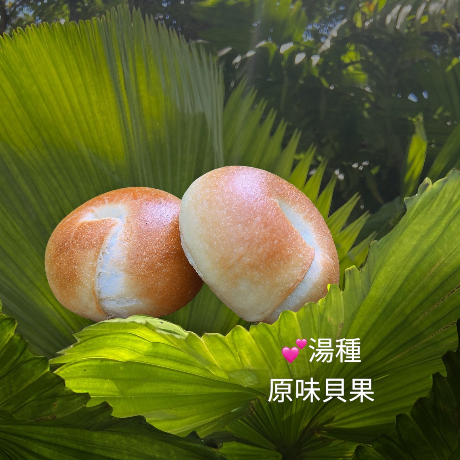 湯種💕原味貝果