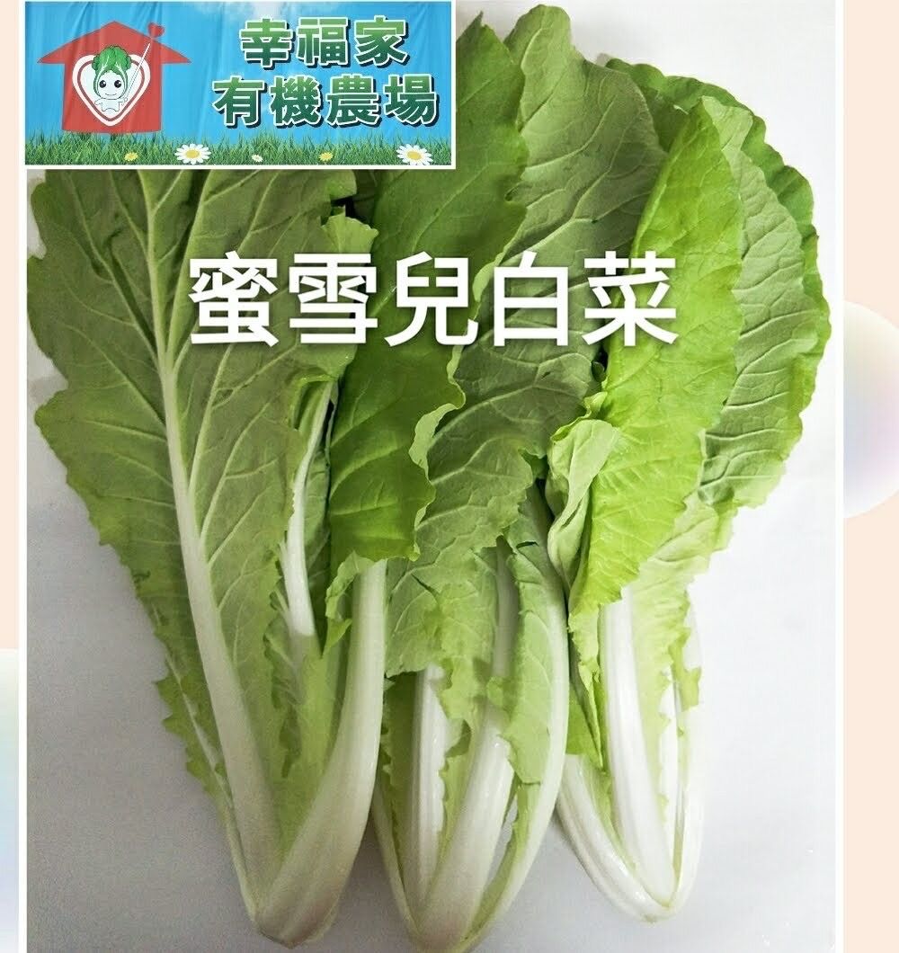 有機蔬菜-蜜雪兒白菜