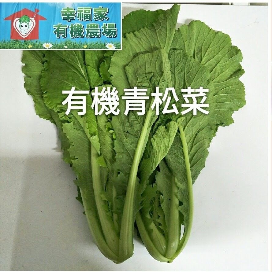 有機蔬菜-青松菜