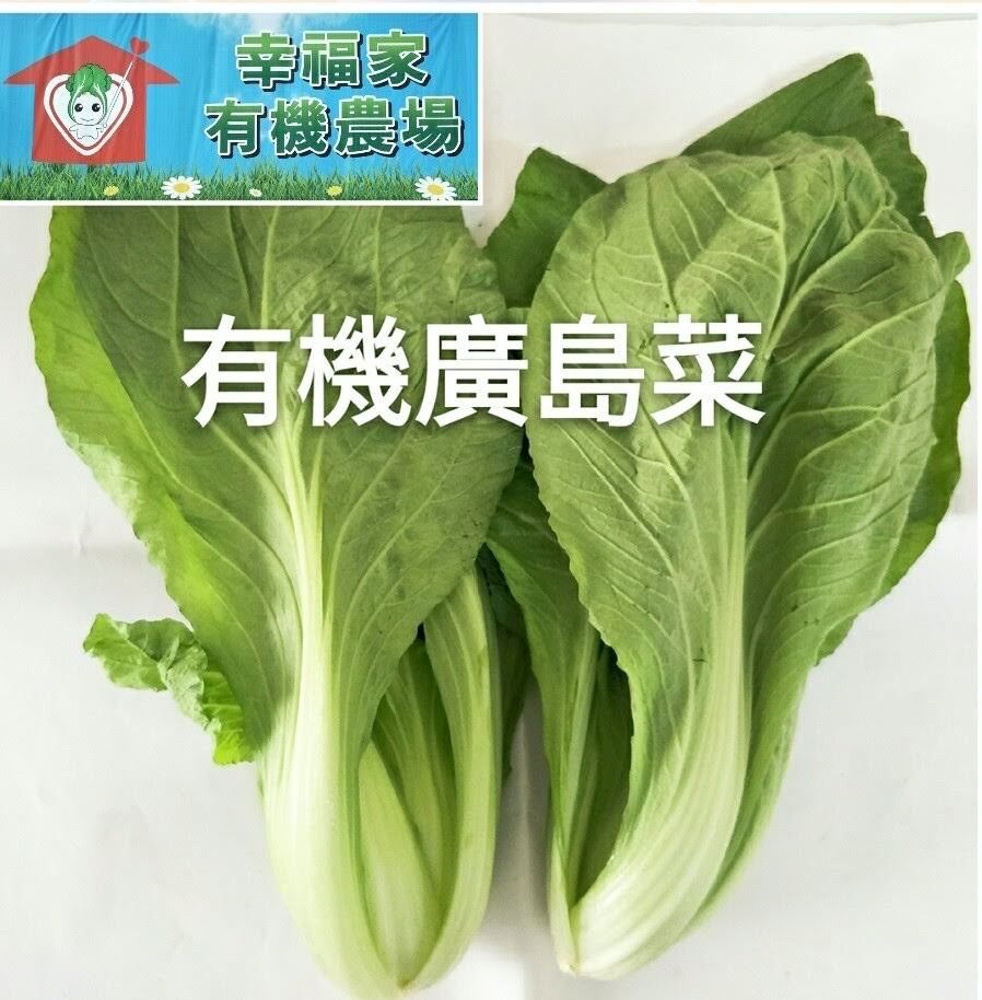 有機蔬菜-廣島菜
