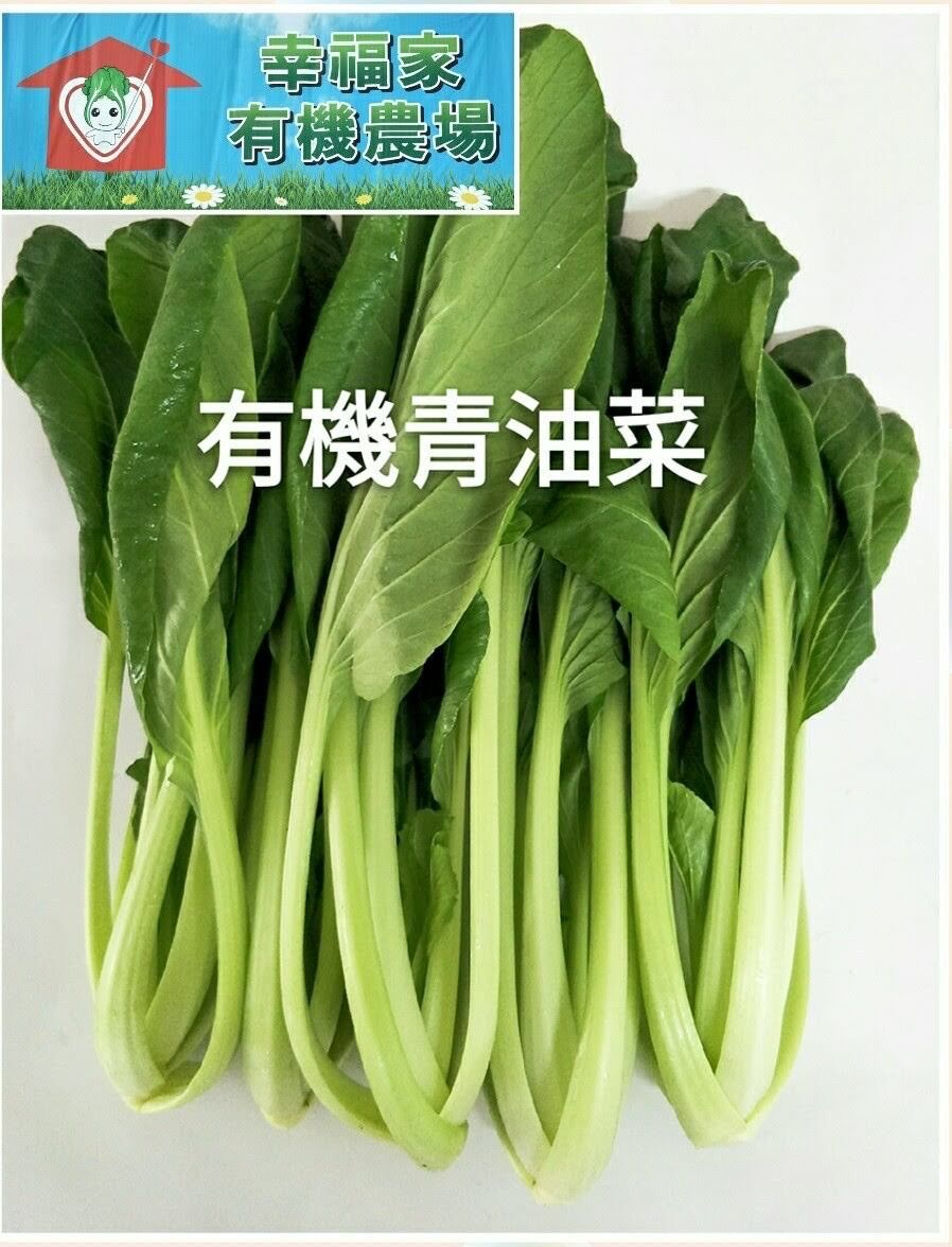 有機蔬菜-有機青油菜