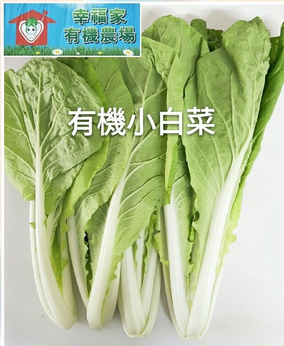有機蔬菜-小白菜
