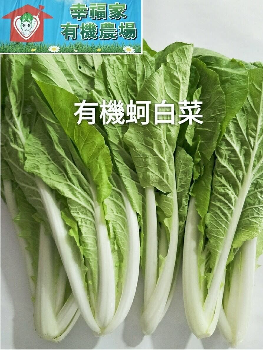 有機蔬菜-蚵白菜