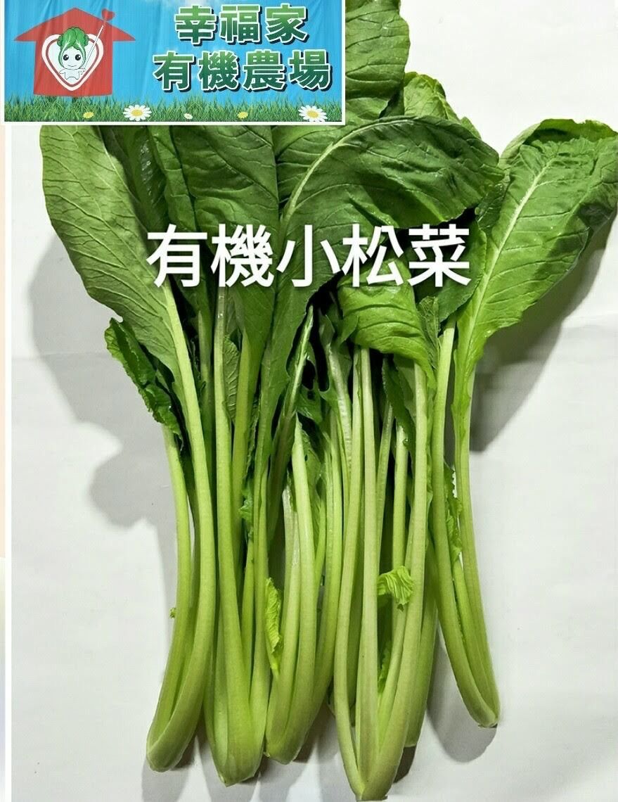 有機蔬菜-小松菜