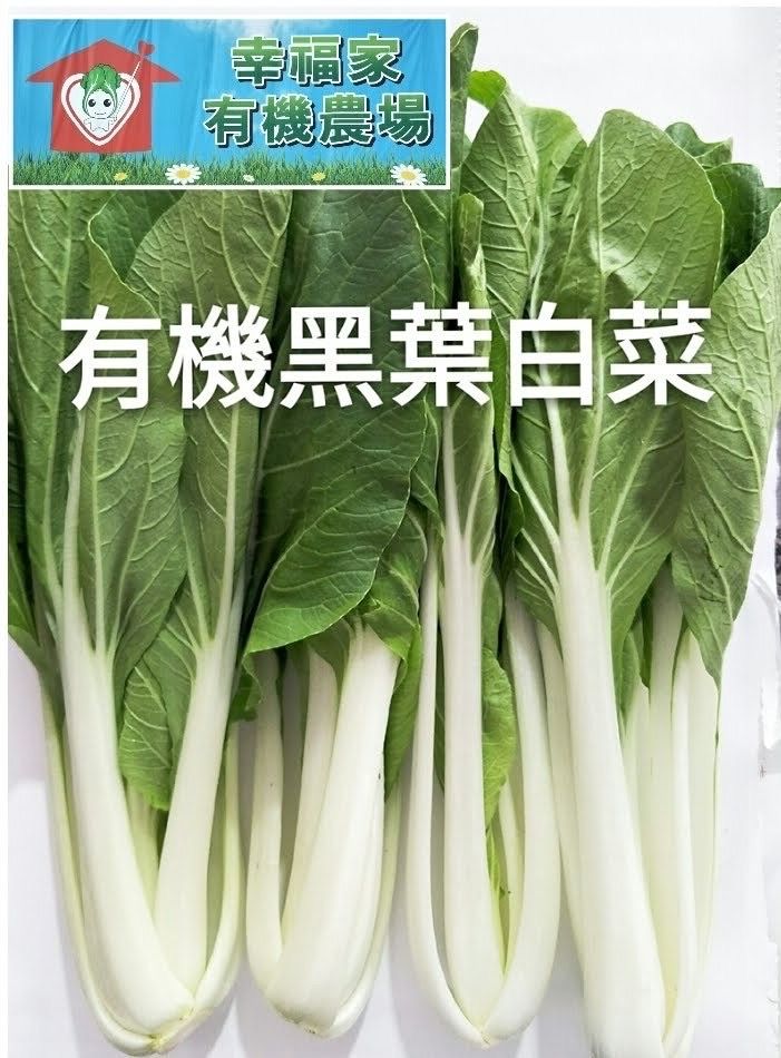 有機蔬菜-黑葉白菜