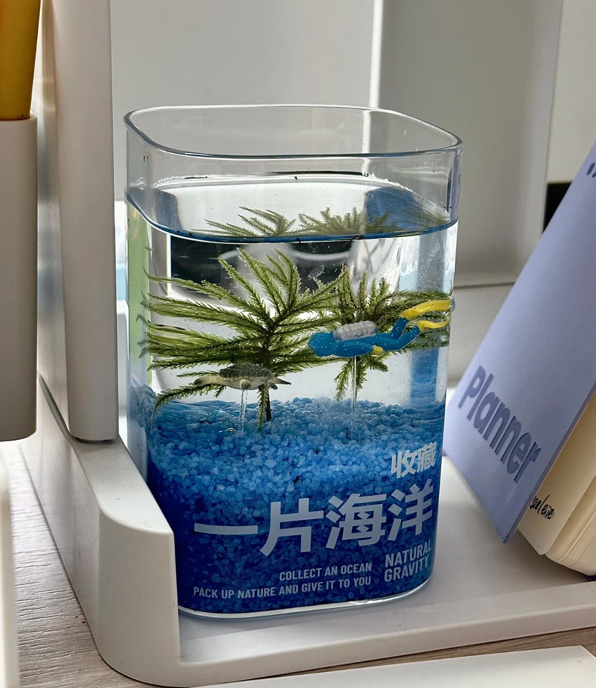 「一片海洋」辦公室/書桌魚缸（含配件 不含魚）
