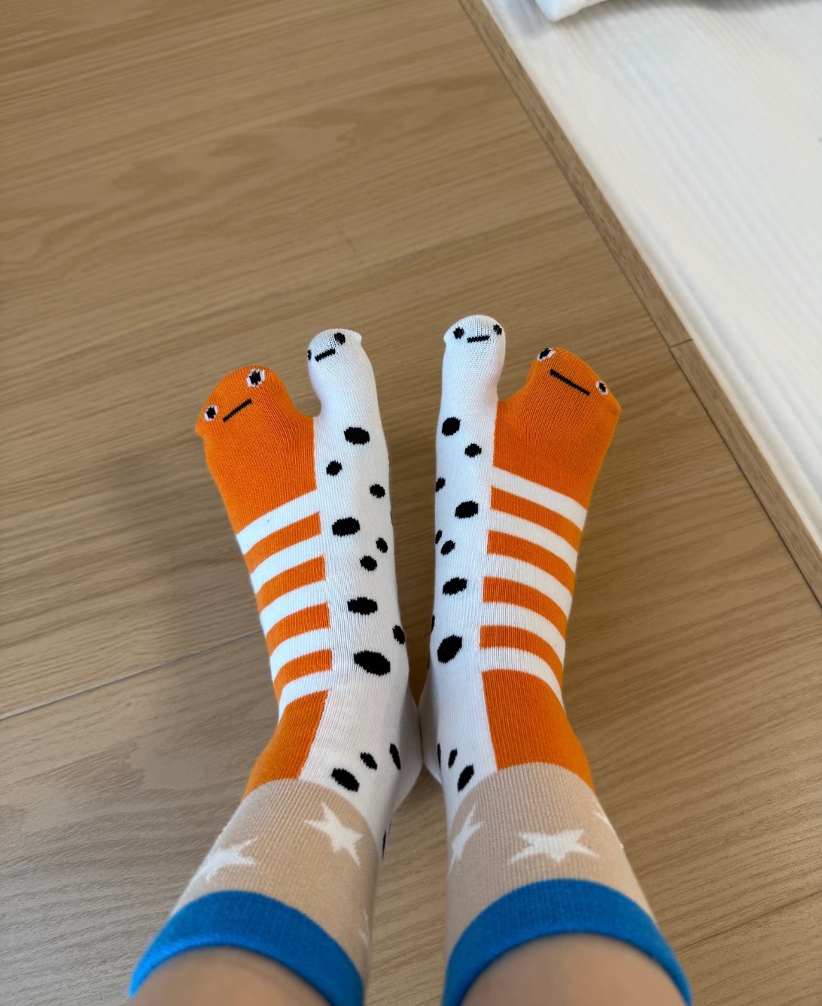 穿上心情會爆很好🤣醜萌花園鰻 純棉分趾襪
