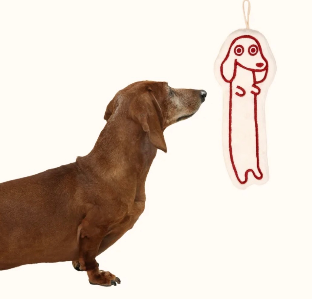 有～臘麼長！超可愛🐶臘腸狗擦手巾（長37公分）