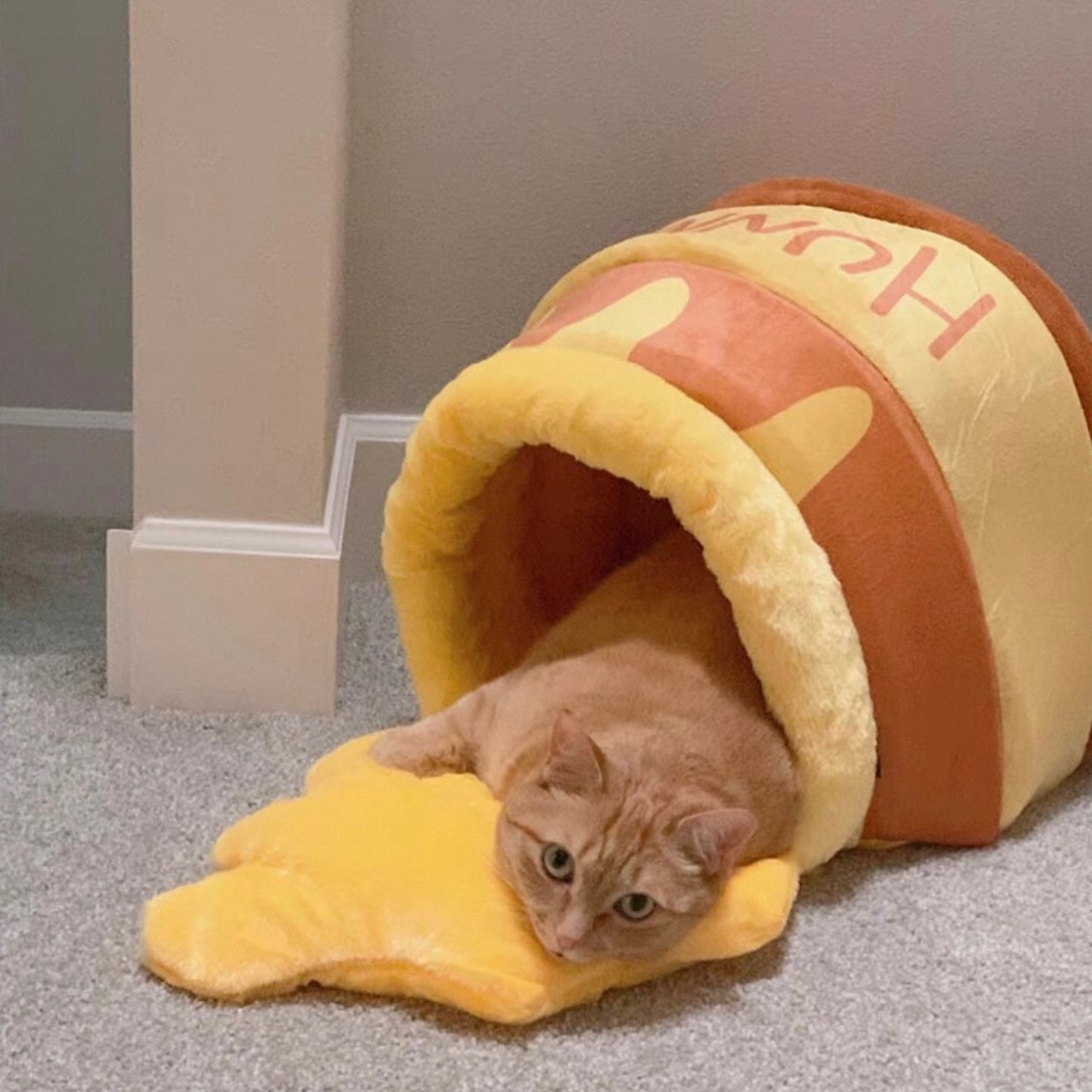 冬天給貓貓的小暖窩🍯超可愛蜂蜜罐貓窩