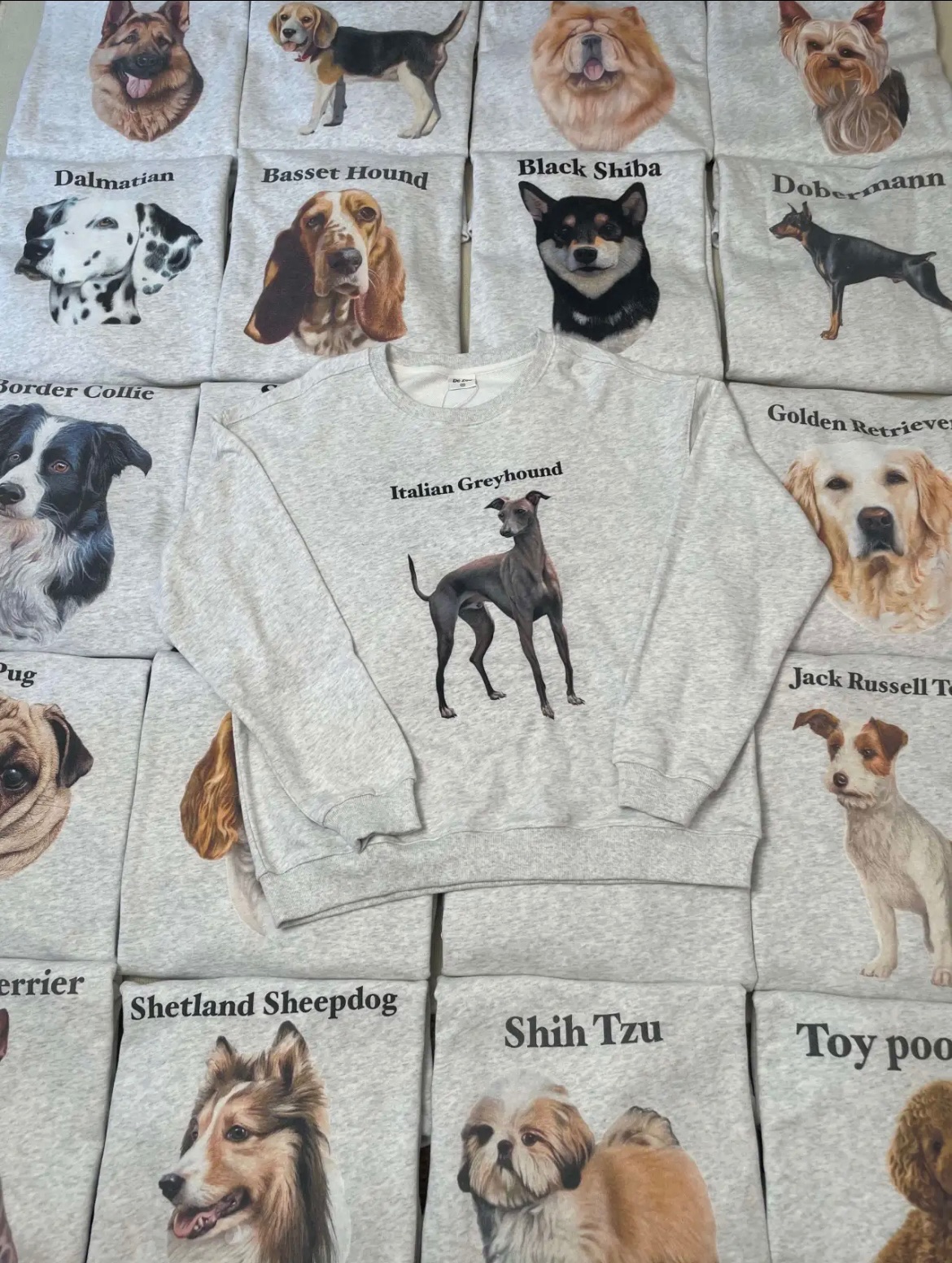 首批優惠價‼️韓版質感超好～家有小狗！鬆弛感狗狗大學T🐶