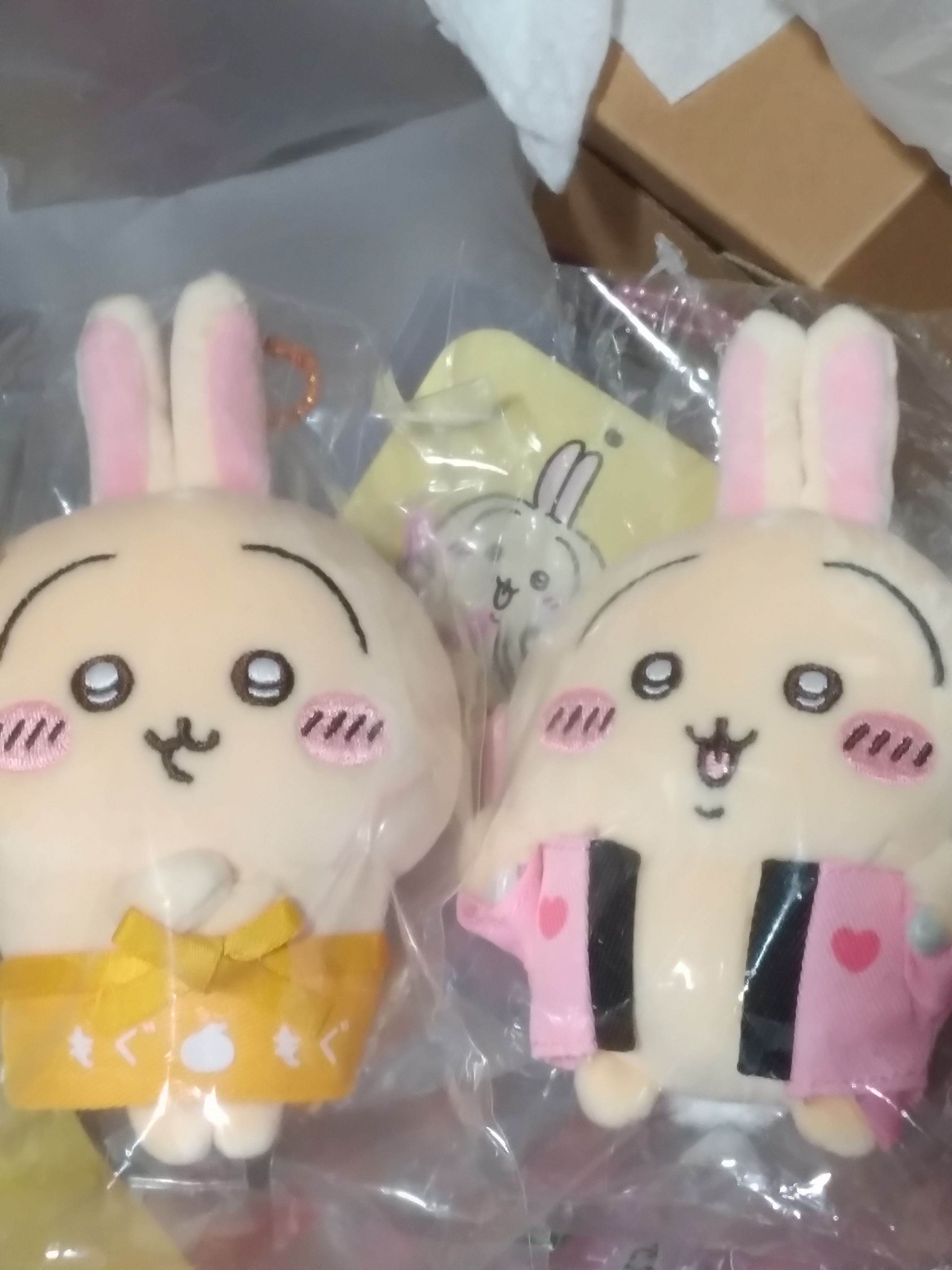 應援兔兔和店員兔兔
