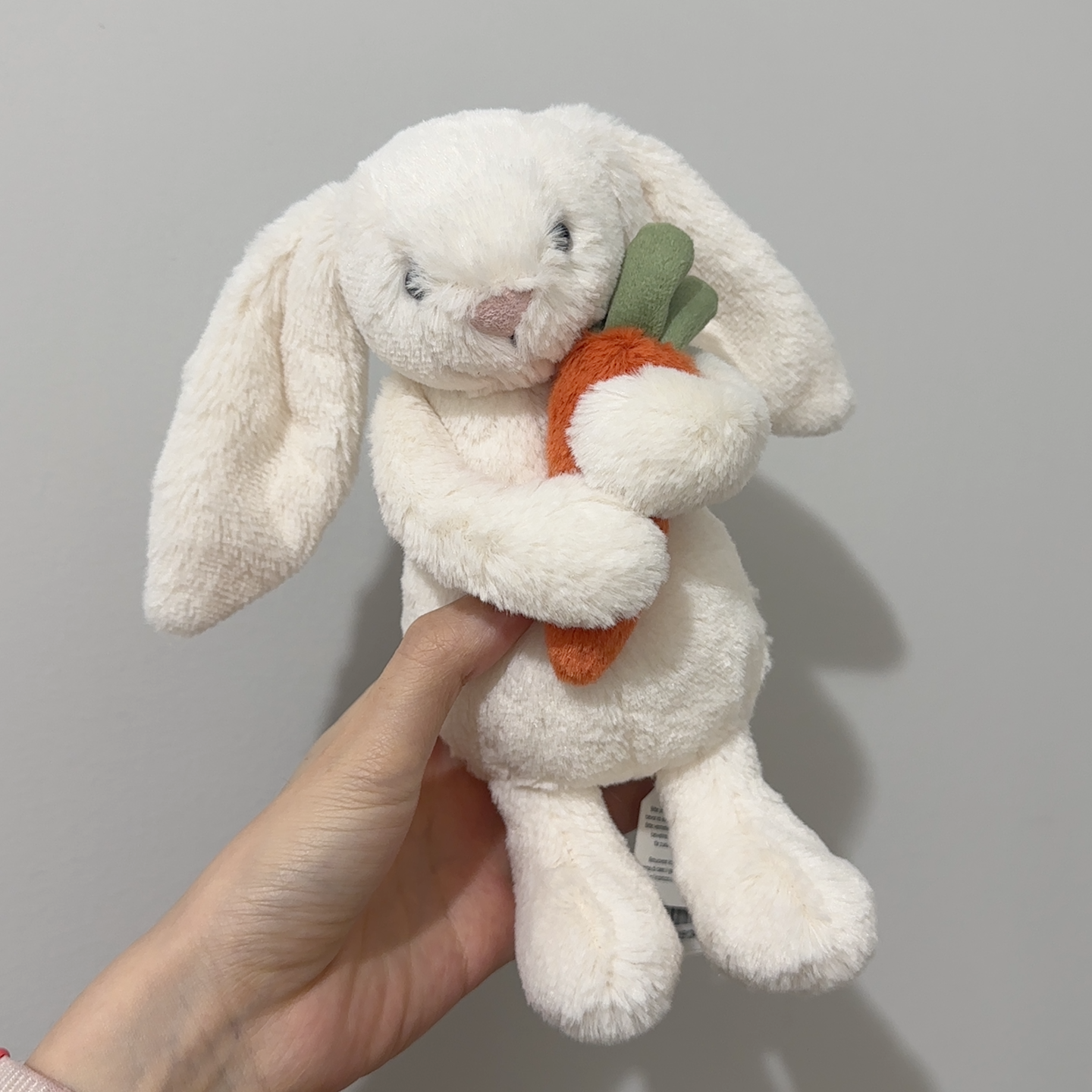 【在台現貨】Jellycat 🥕🐰紅蘿波兔兔