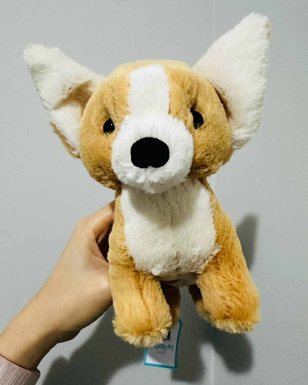 【在台現貨】Jellycat 短腿柯基