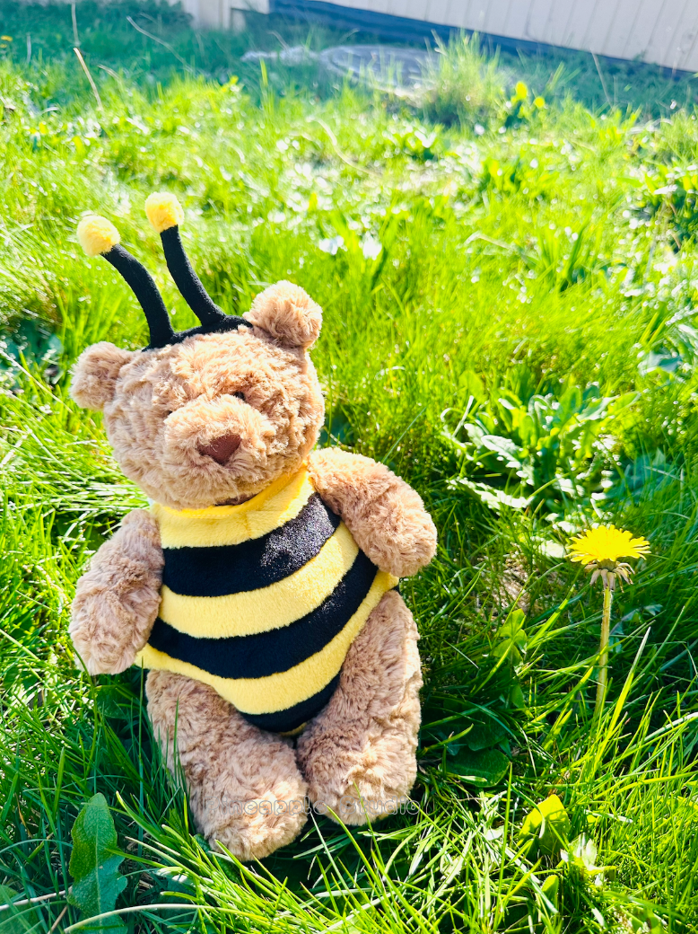 【在台現貨】Jellycat 蜜蜂熊熊