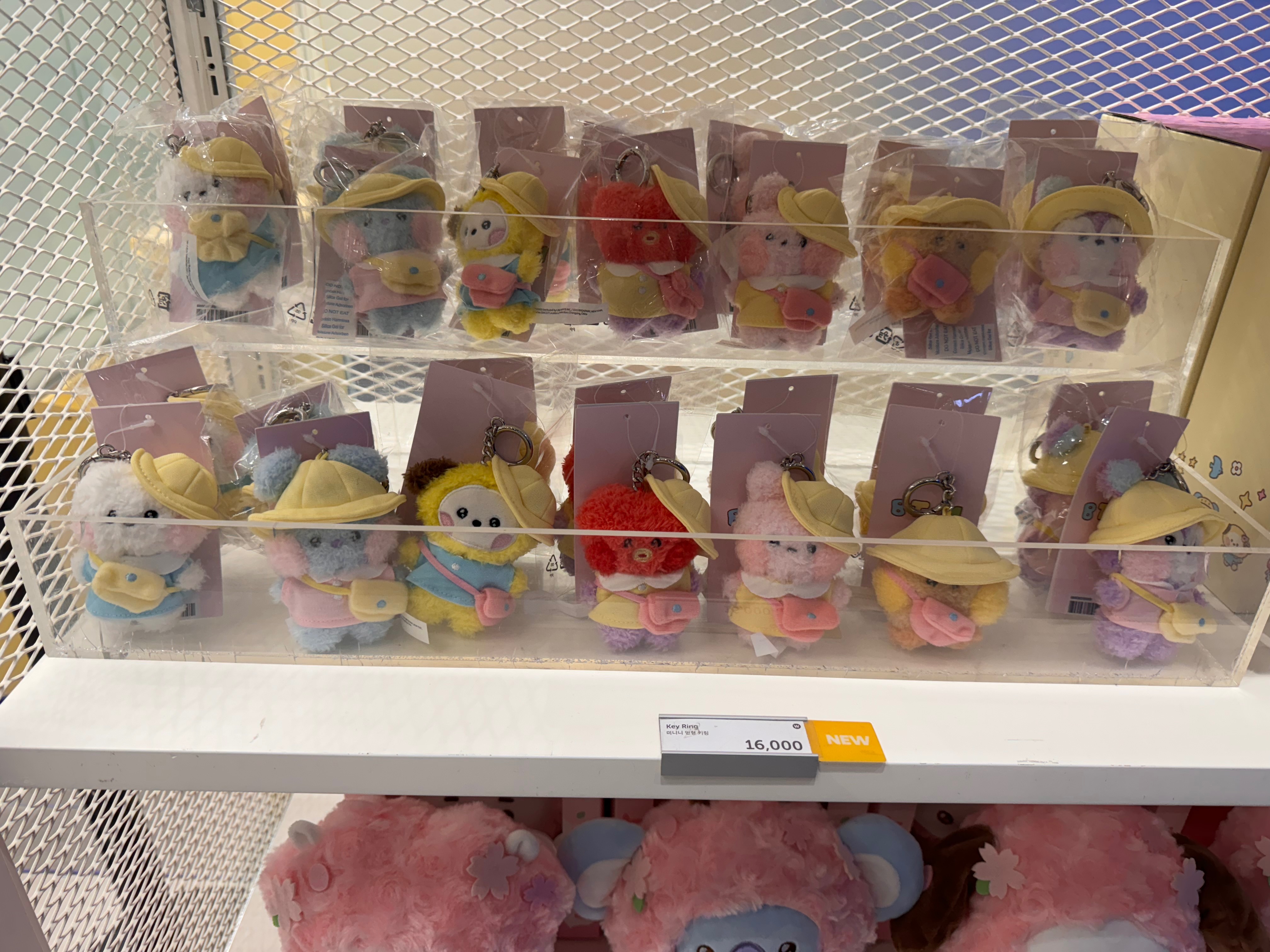 BT21 野餐系列 吊飾