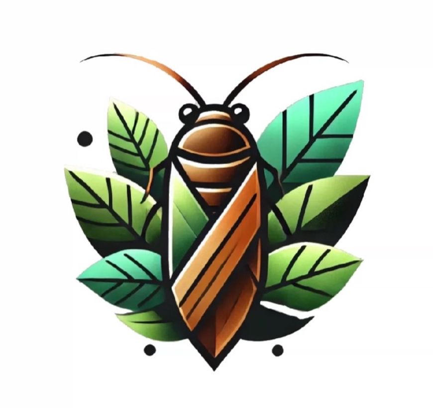 杜比亞顆粒模型