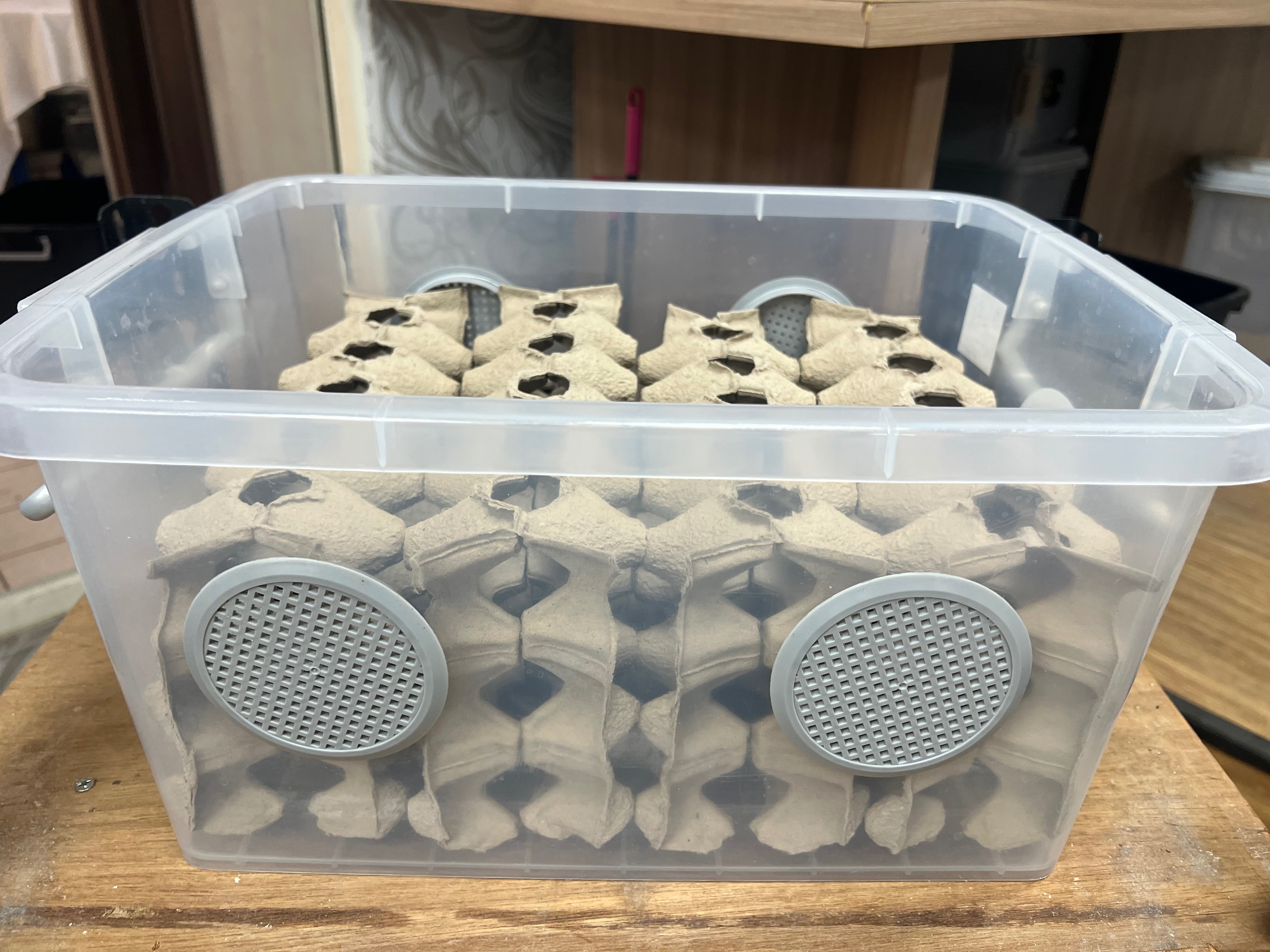 飼養箱（48*35*24）含4個蛋拖購買聯繫客服