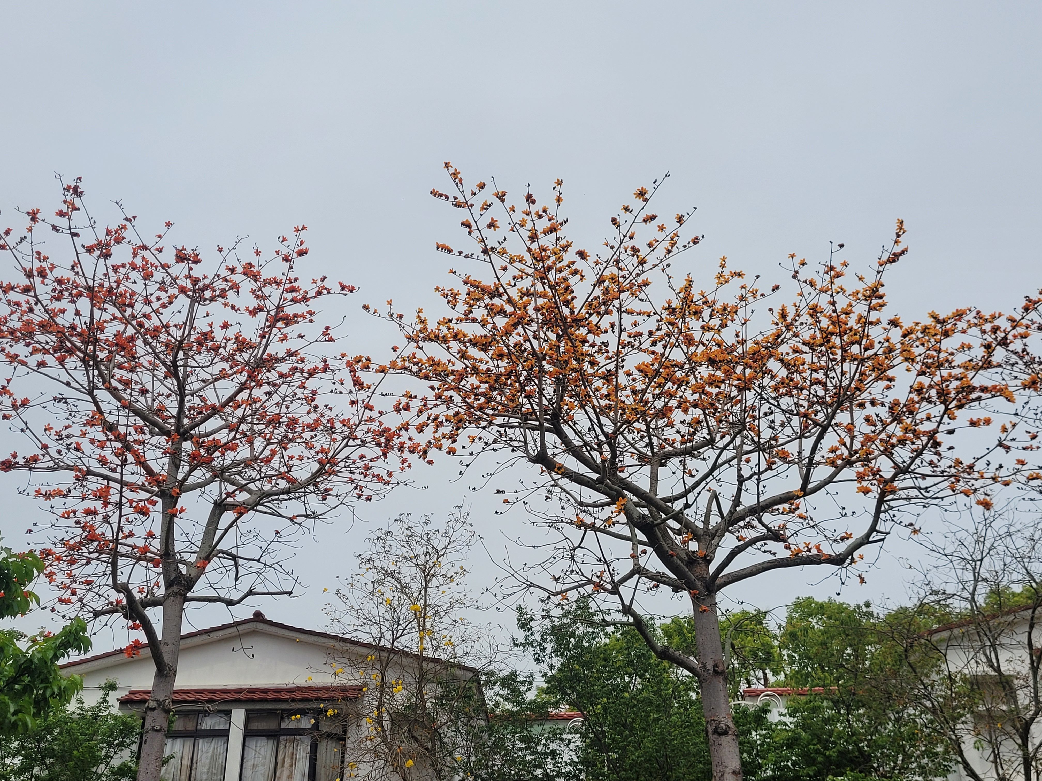 手續費10元（一單下一筆即可）