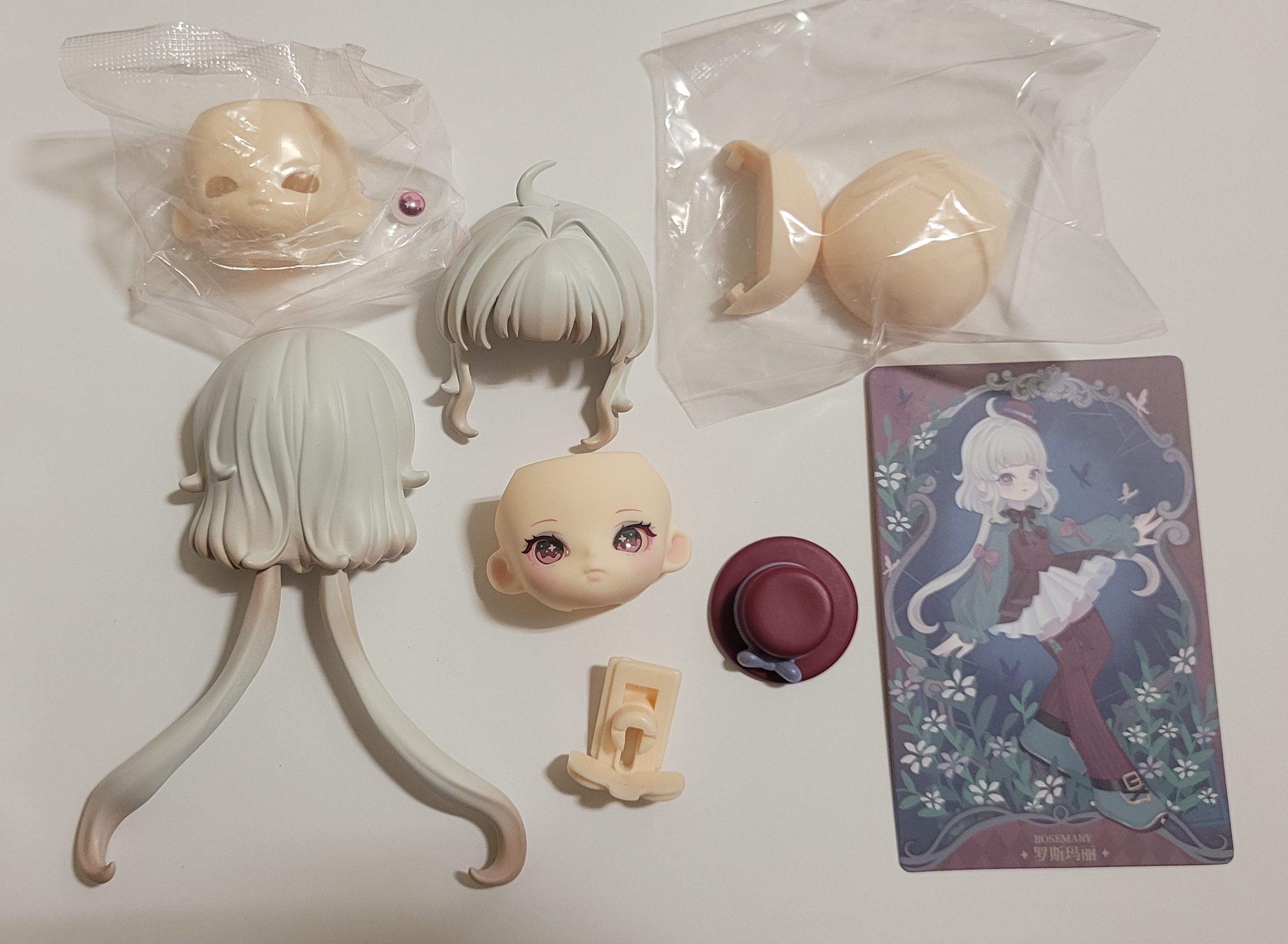 米希婭-怪誕陳列館