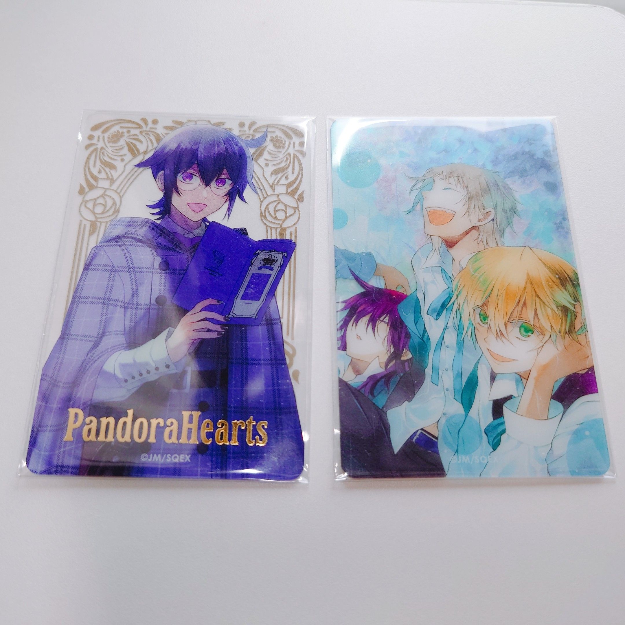 望月淳 20週年企劃 蒼に巡る旅路 專區