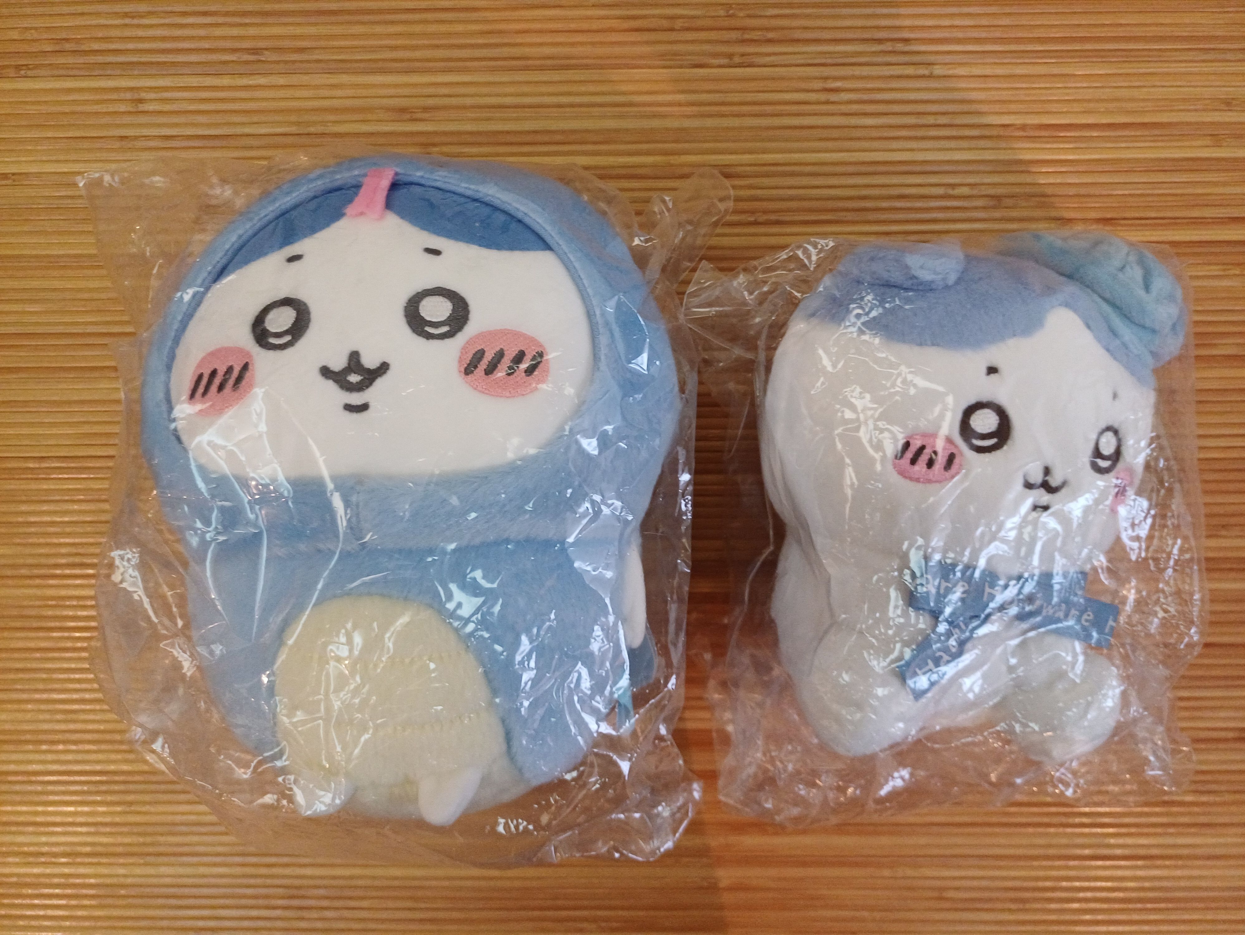 蛇年小八跟貝雷帽