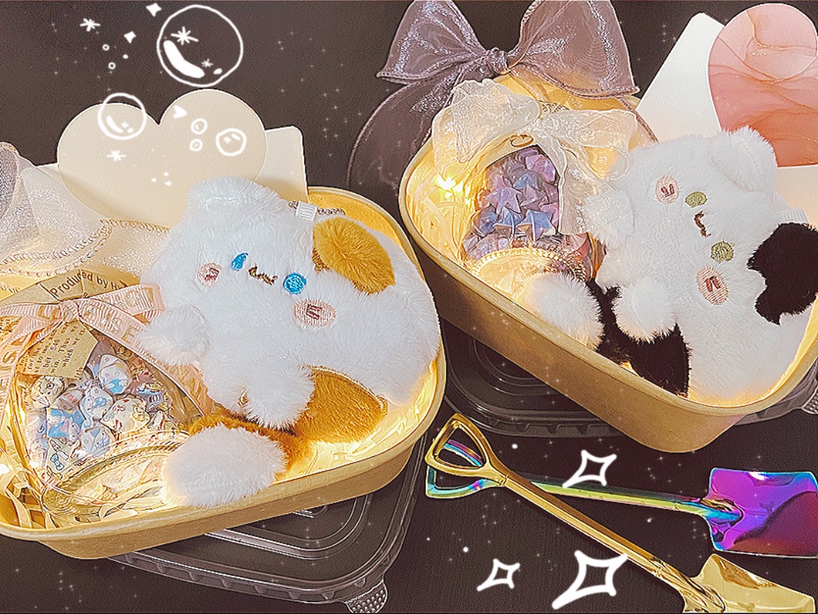 Ins風星星貓咪便當